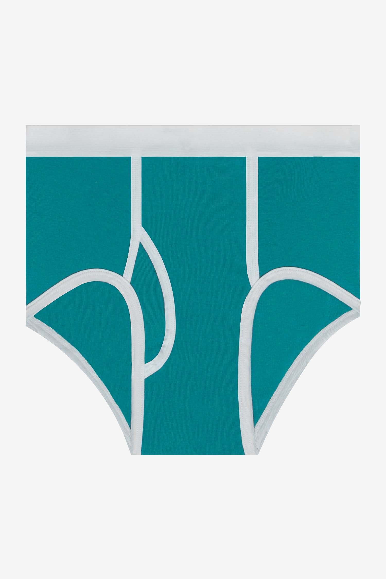 44015 - Men's Baby Rib Brief - Image 88