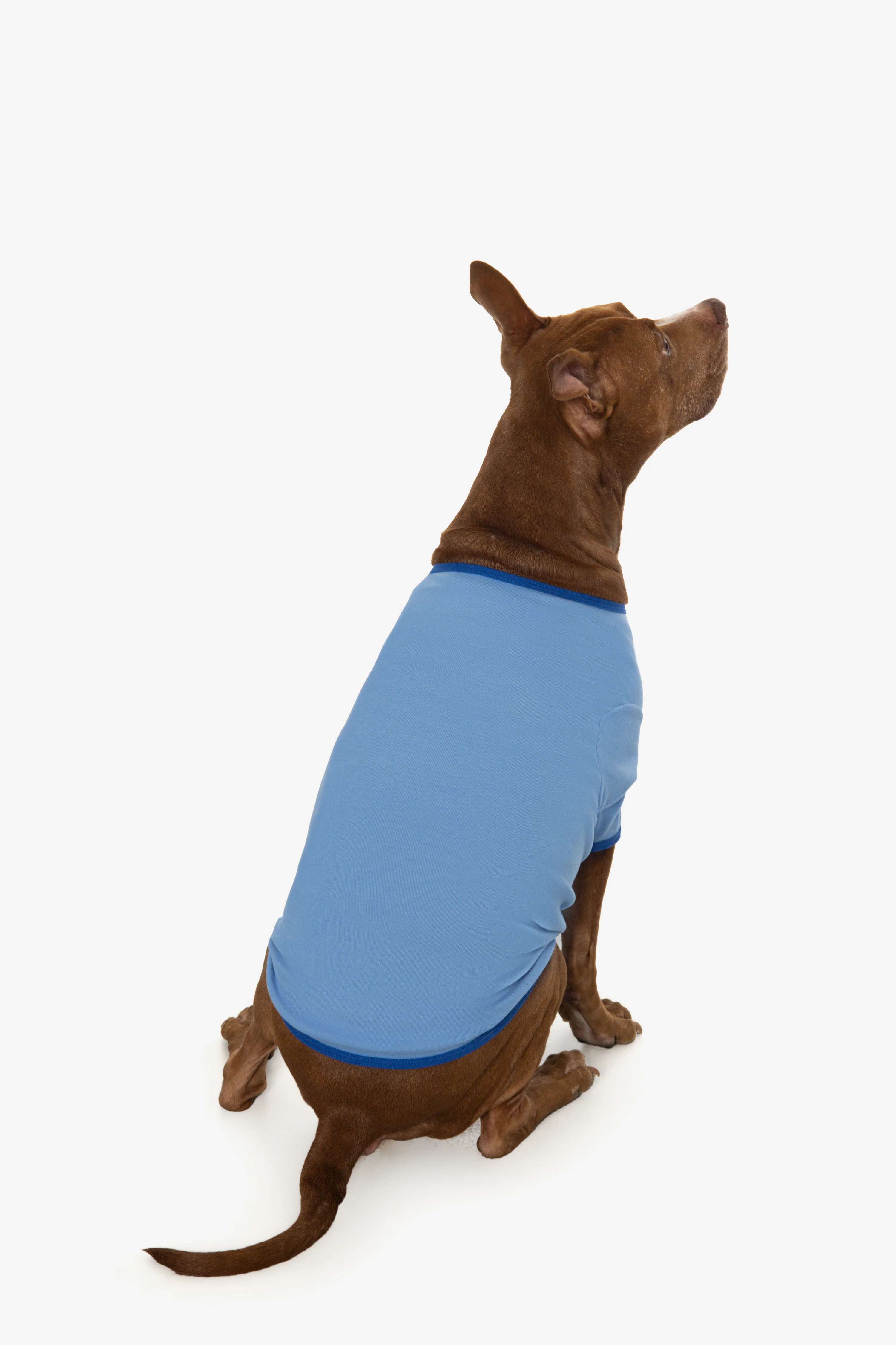 49005 - Baby Rib Dog T-Shirt - Image 13
