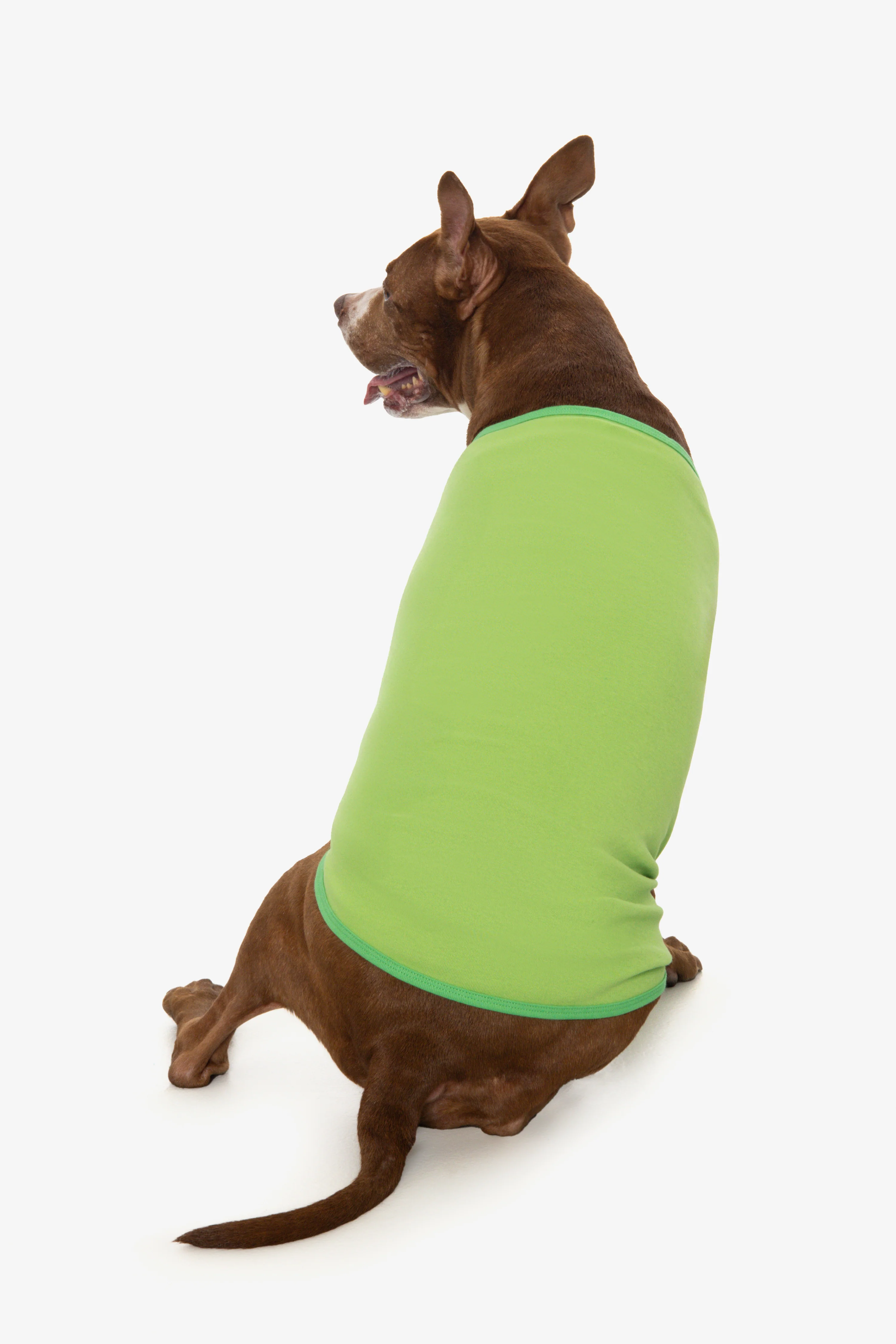 49005 - Baby Rib Dog T-Shirt - Image 16