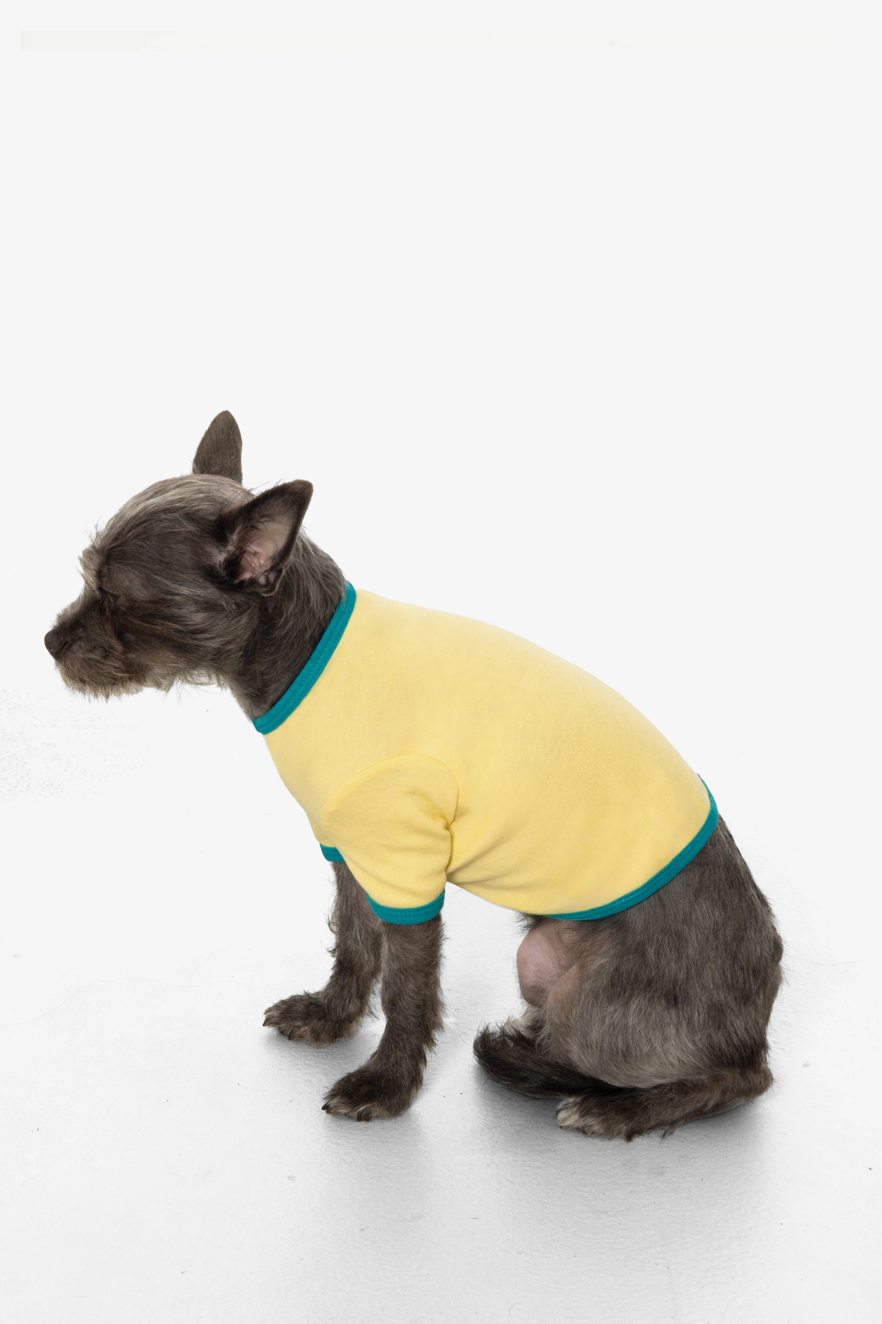 49005 - Baby Rib Dog T-Shirt - Image 3