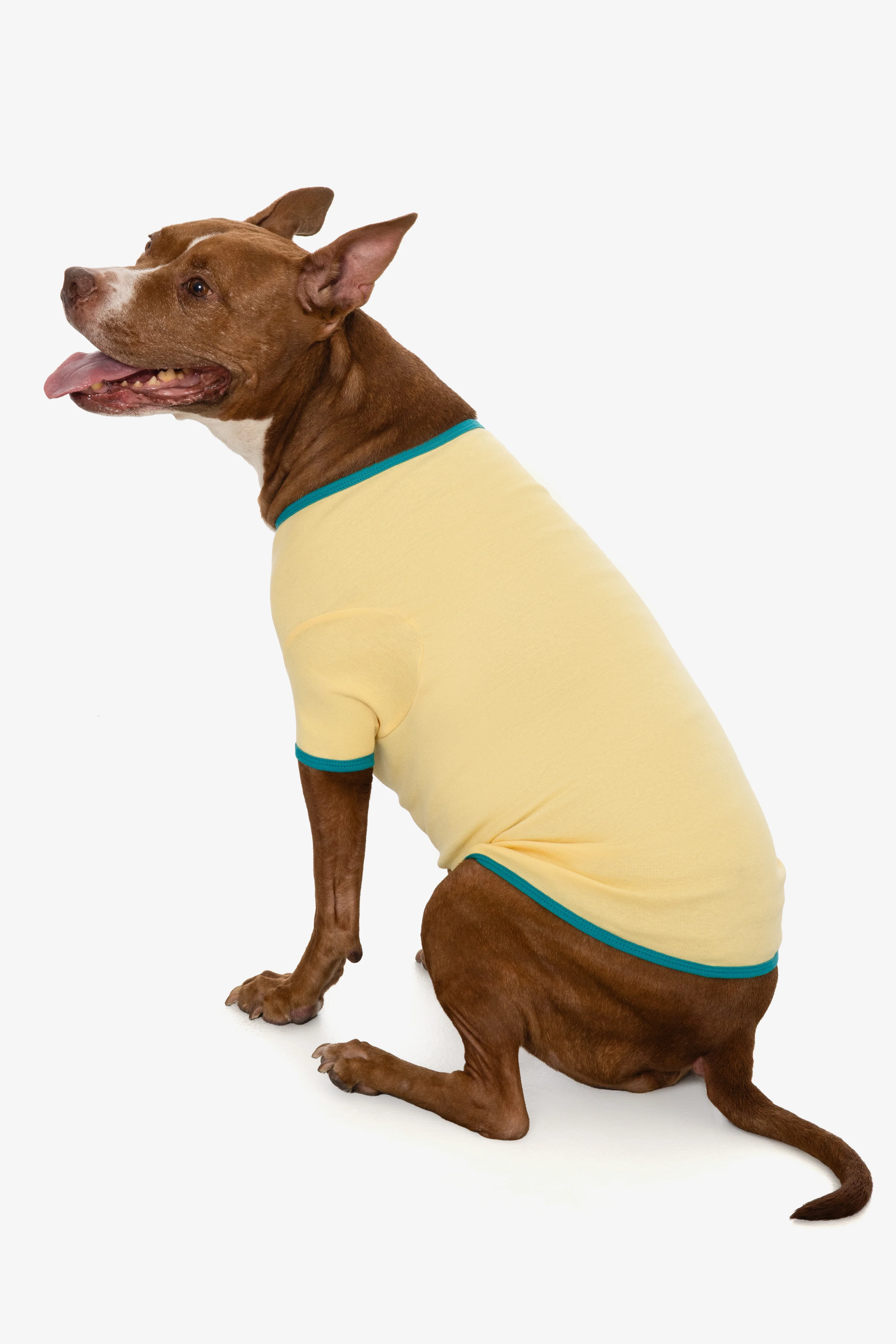 49005 - Baby Rib Dog T-Shirt - Image 6