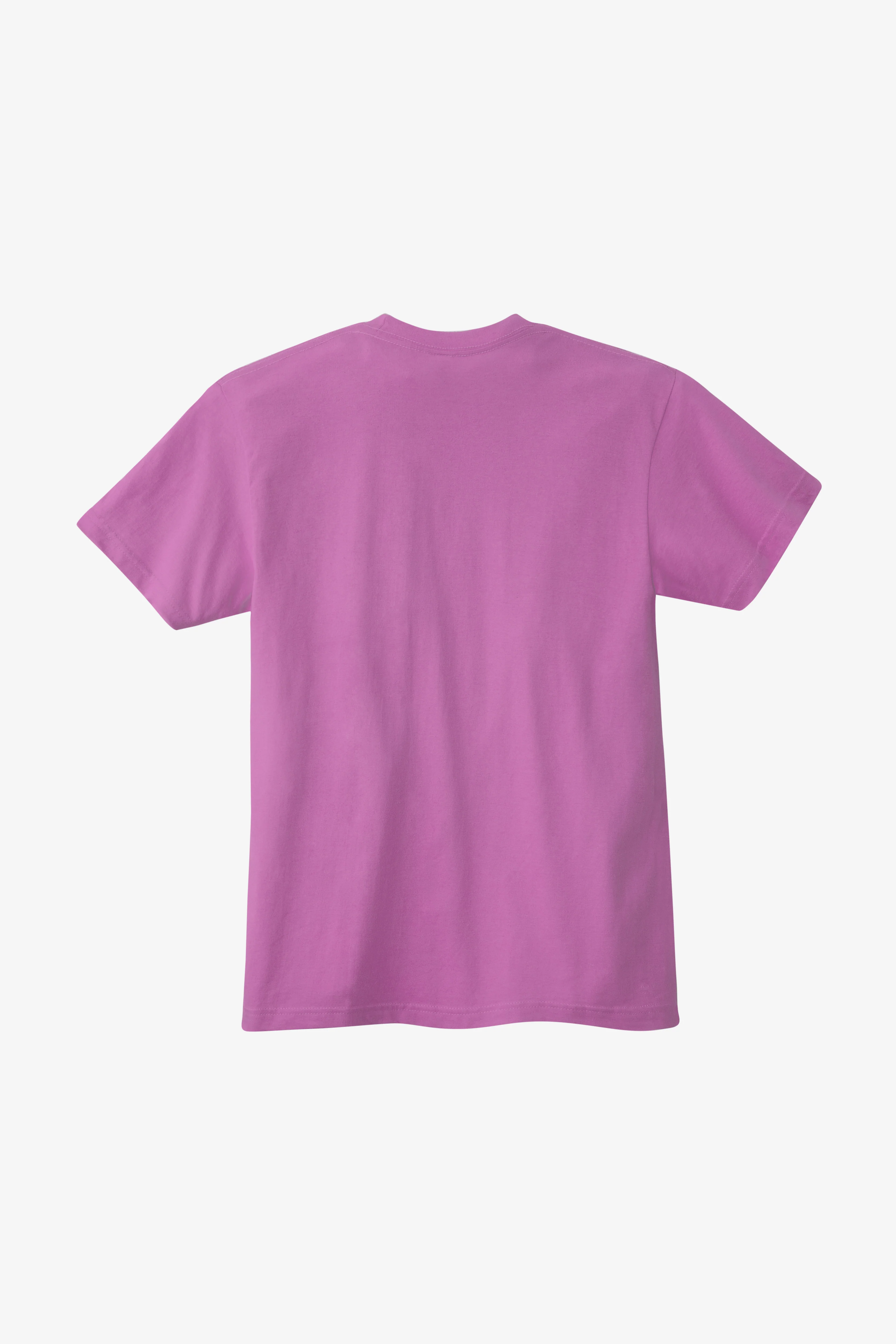 20001 Unisex - Fine Jersey Crew Neck T-Shirt - Image 33