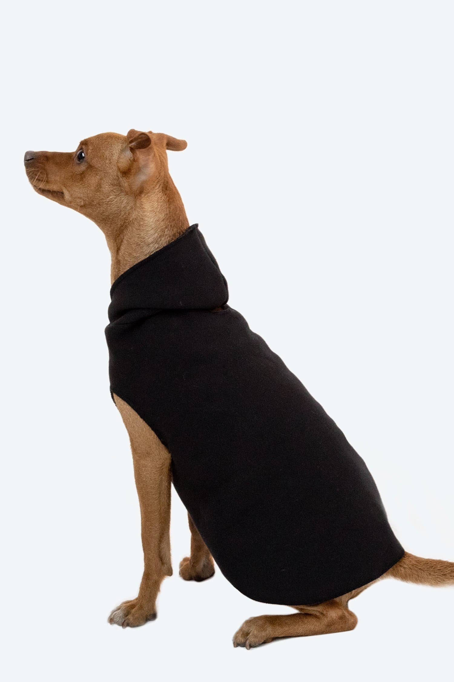 DOGSWEATER - Hooded Dog Sweater - Image 3
