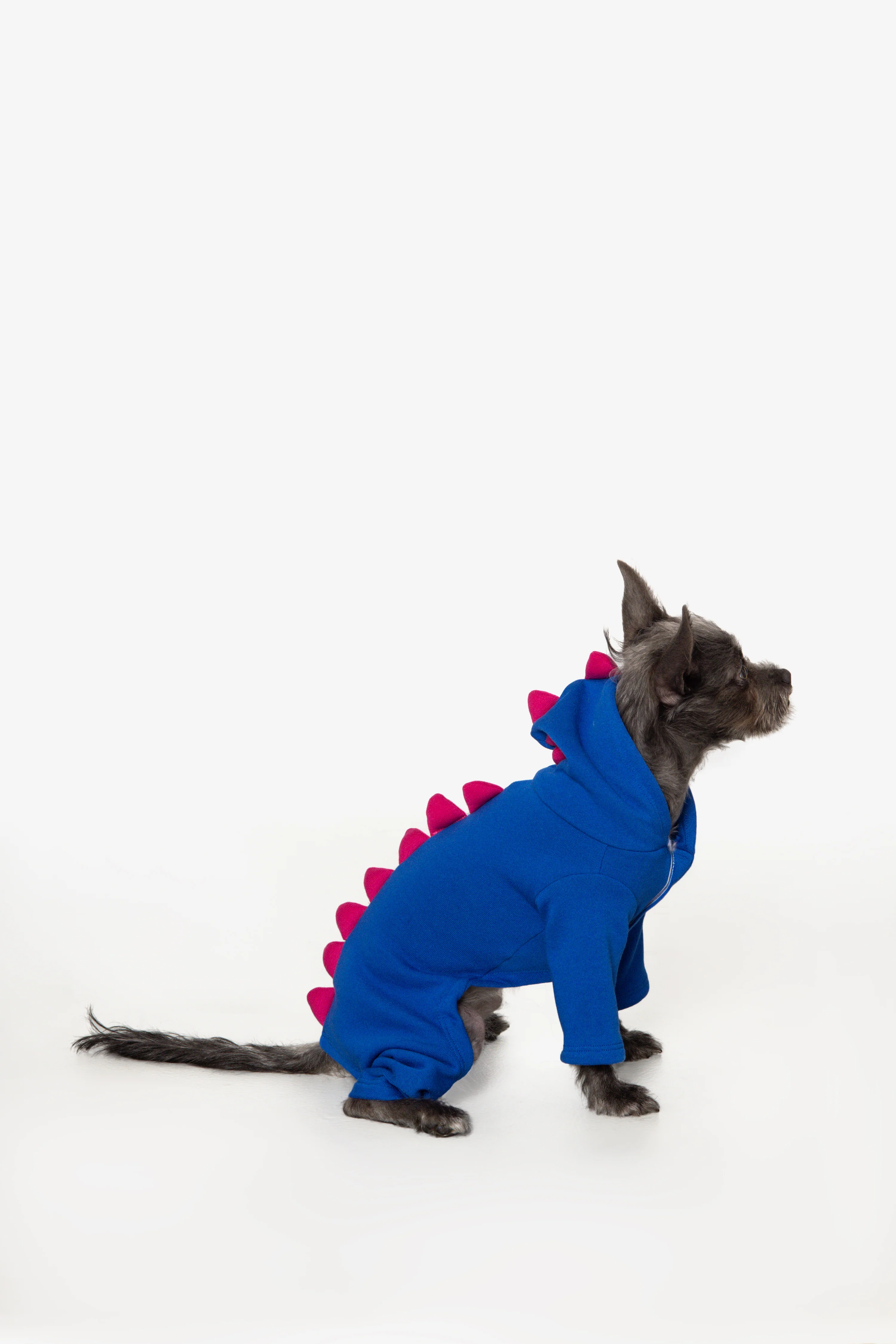 FF900 - Dogzilla - Image 10
