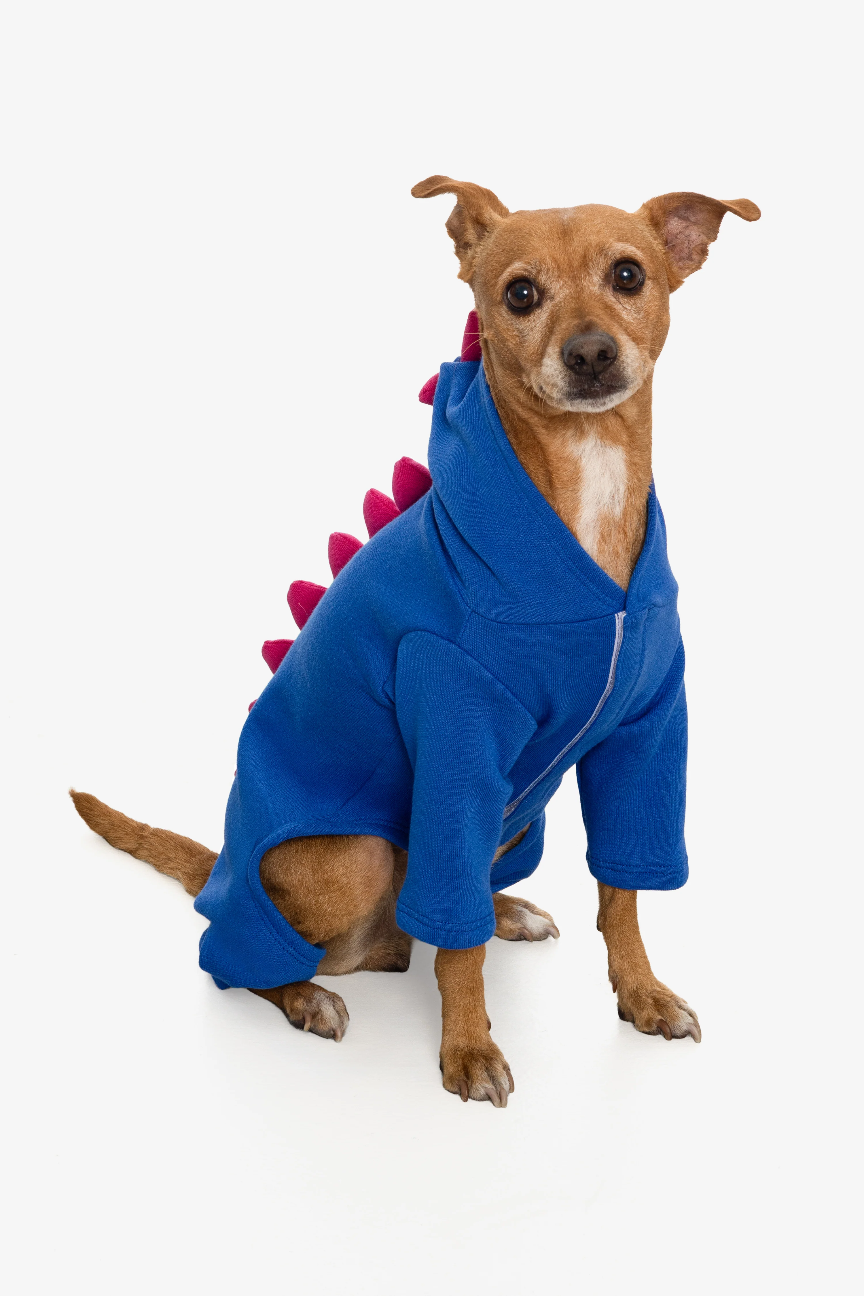 FF900 - Dogzilla - Image 11