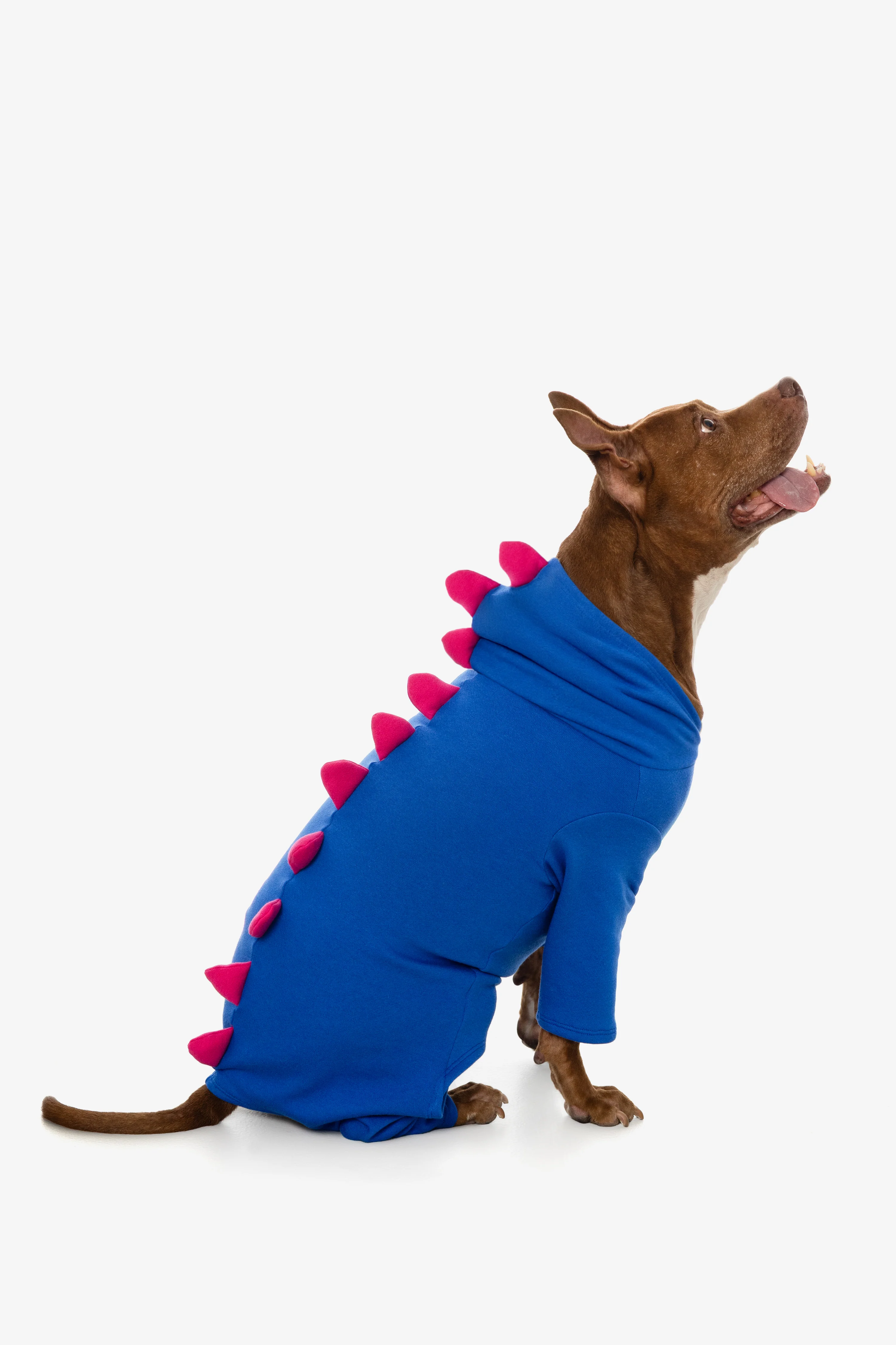 FF900 - Dogzilla - Image 12