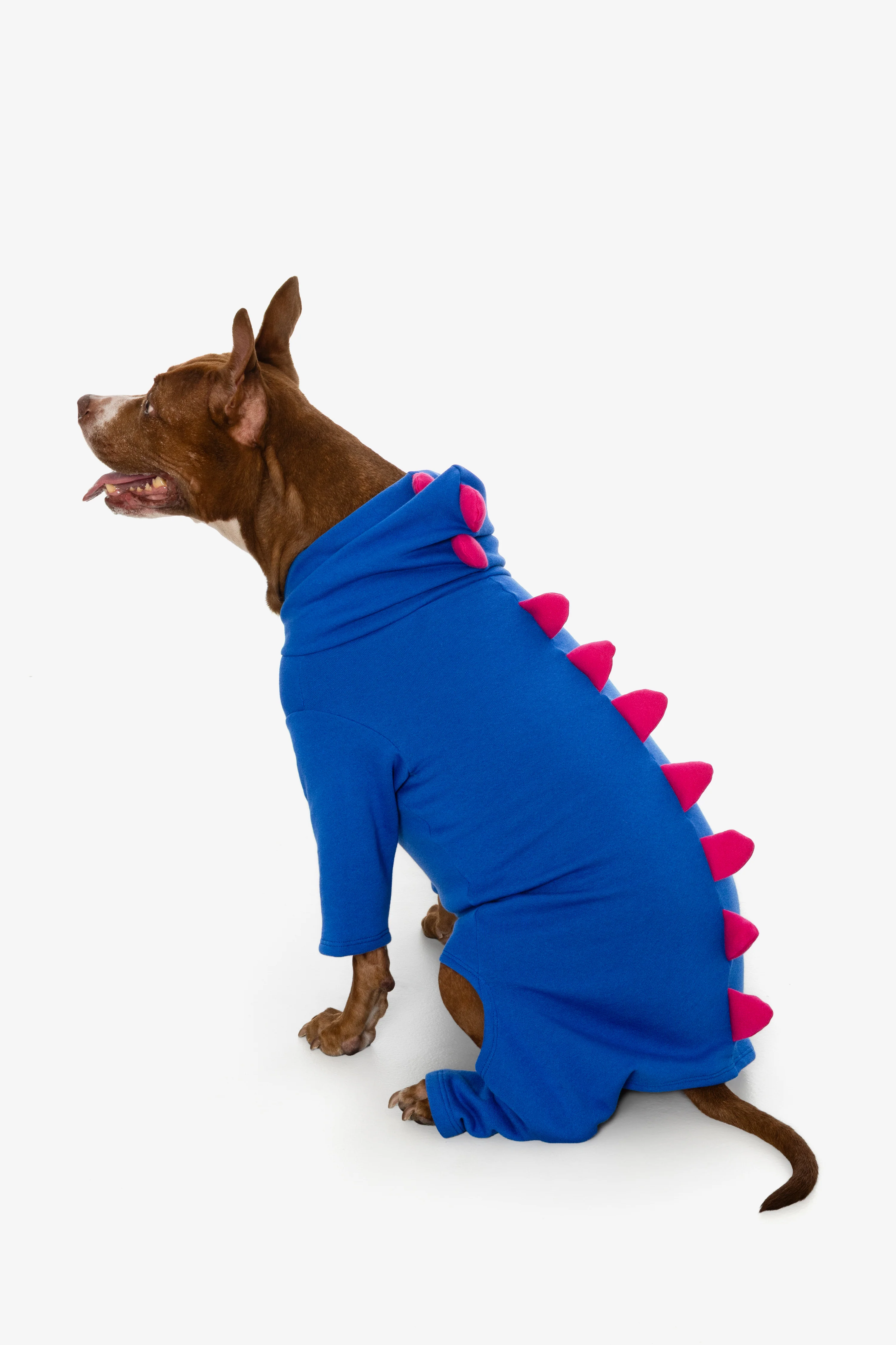 FF900 - Dogzilla - Image 13