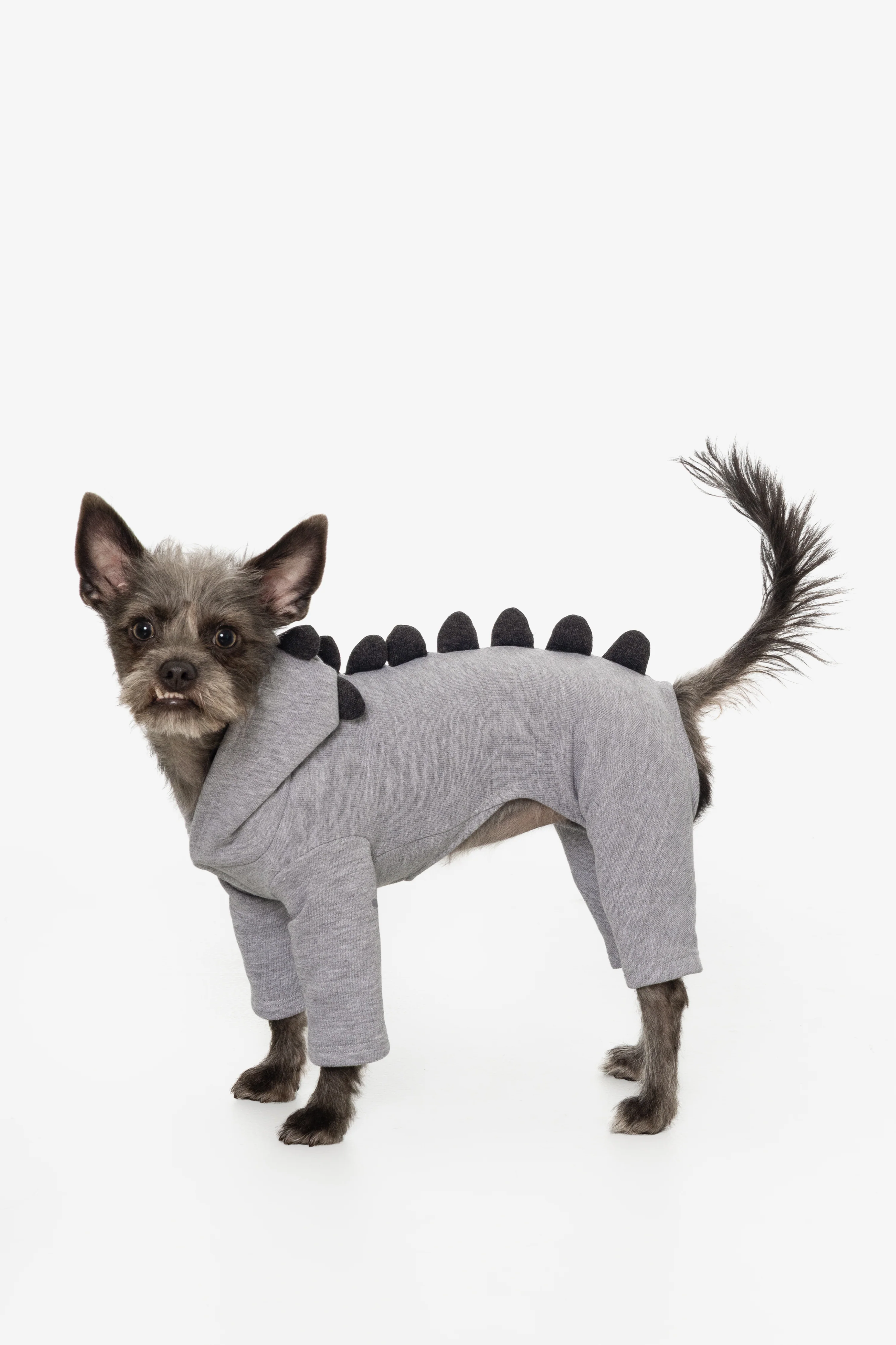 FF900 - Dogzilla - Image 14