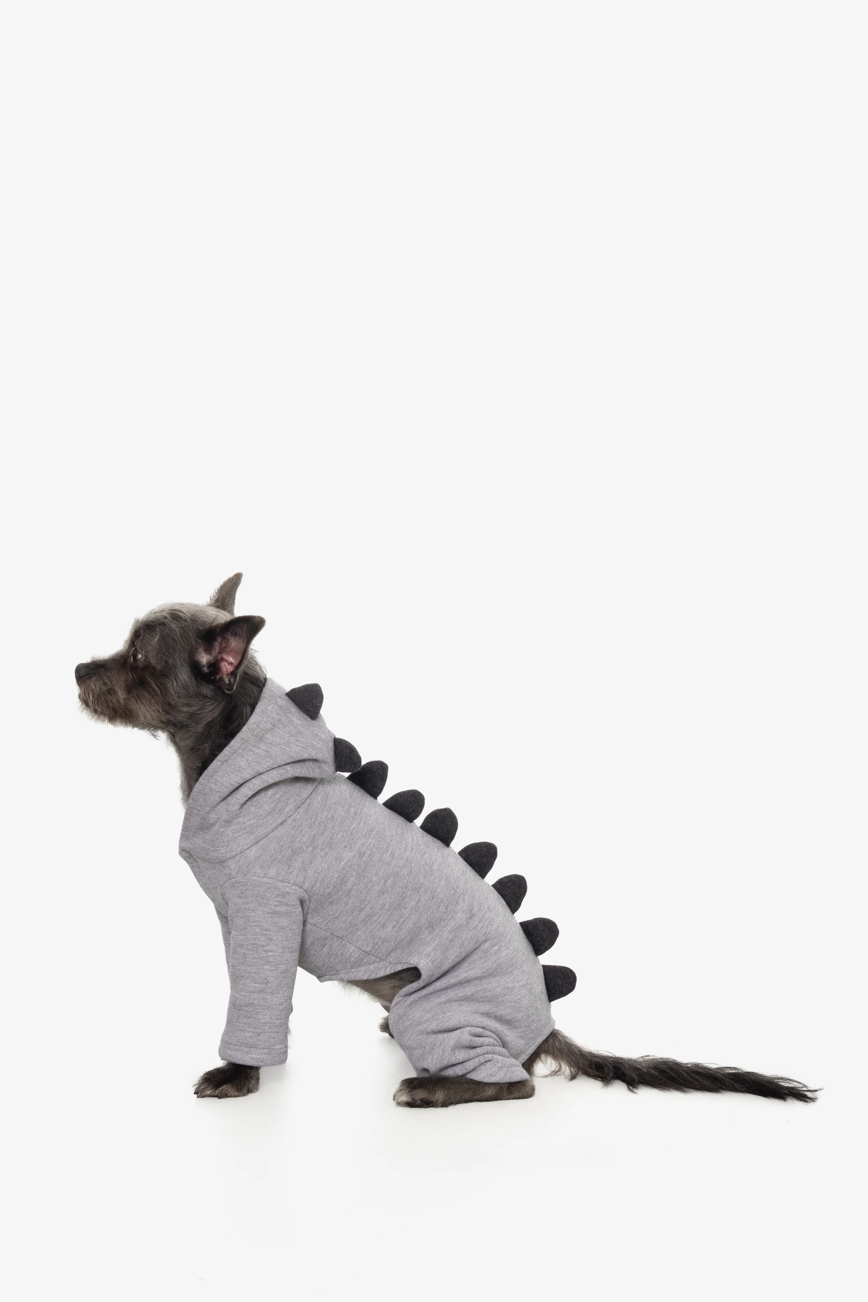 FF900 - Dogzilla - Image 16
