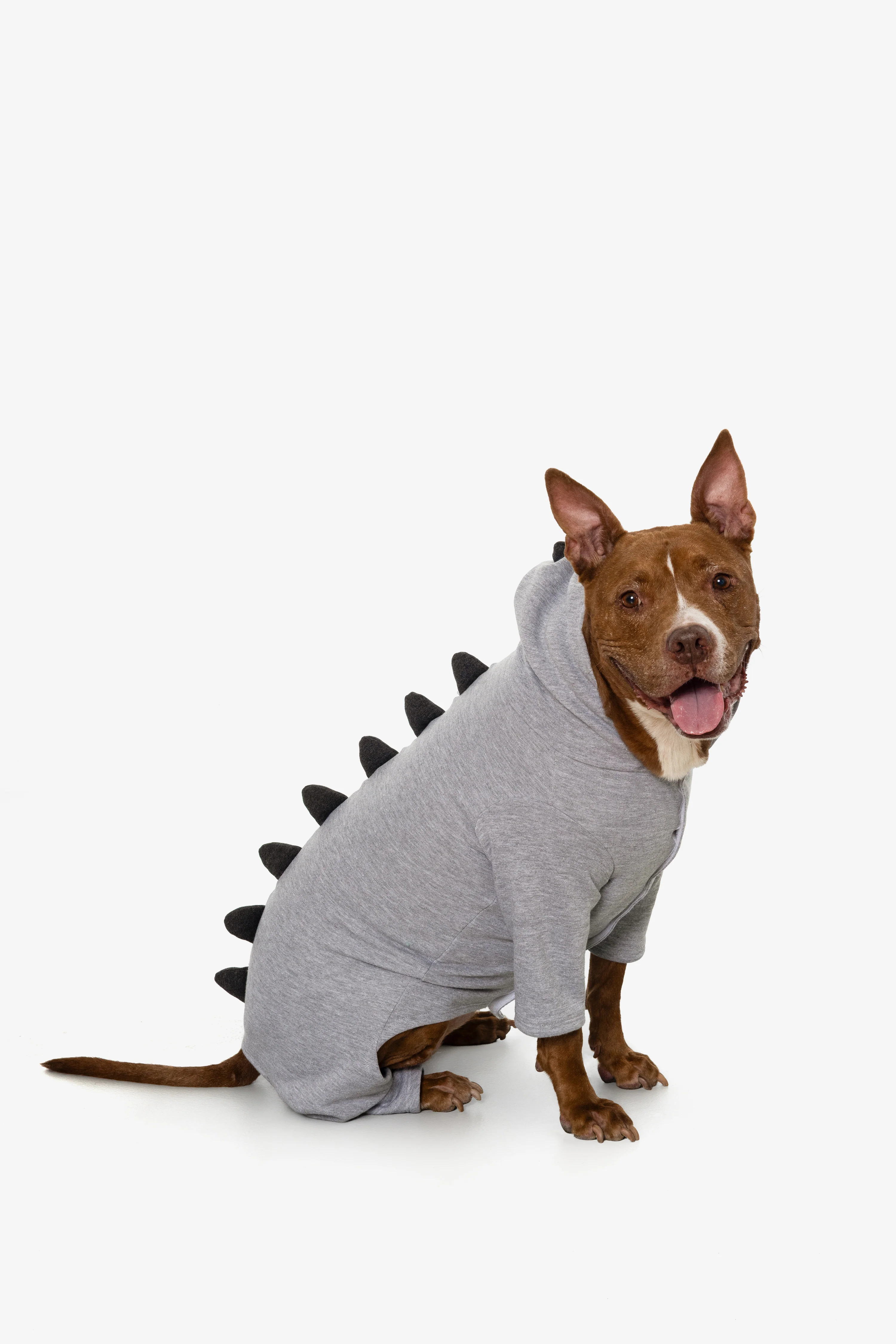 FF900 - Dogzilla - Image 17