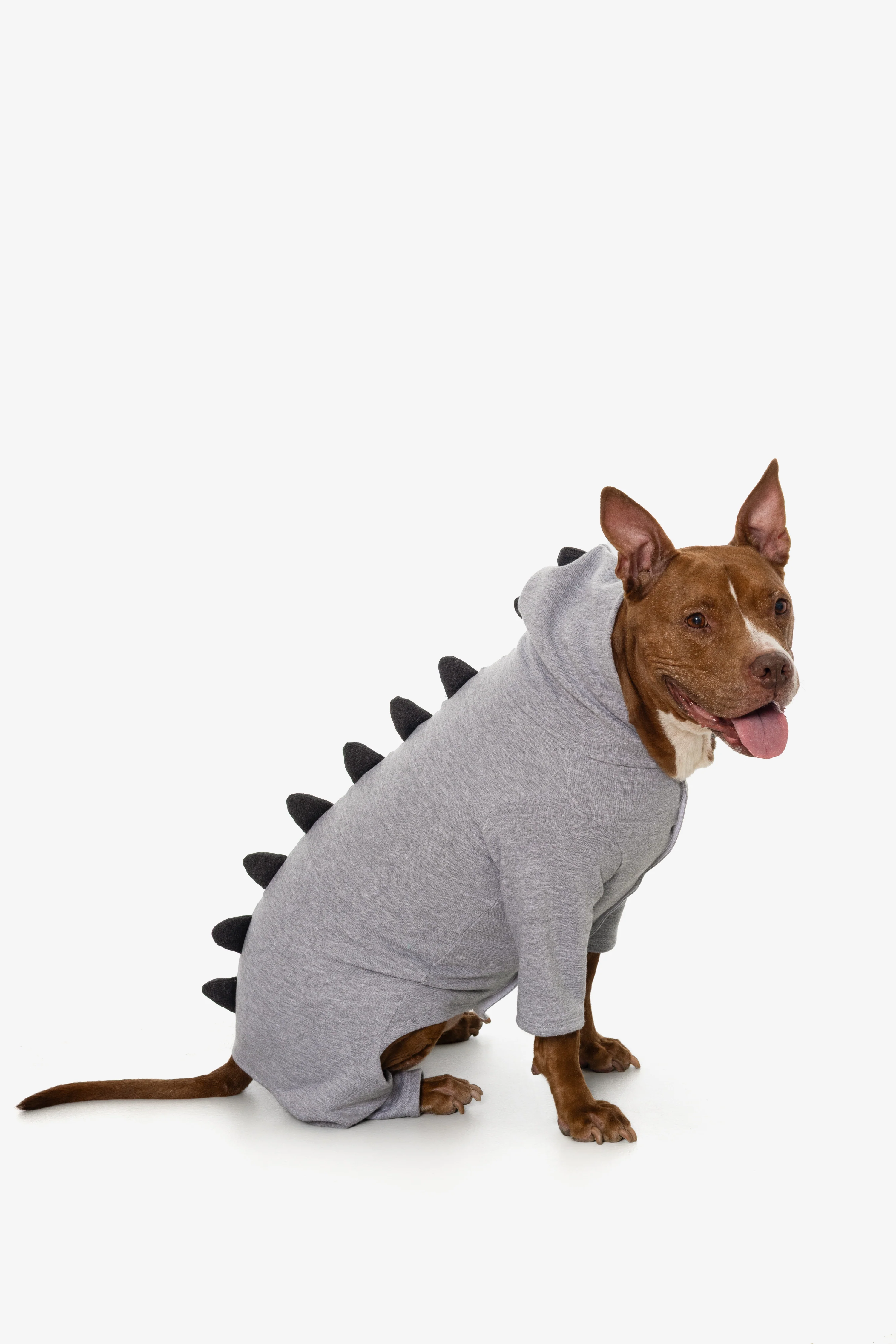 FF900 - Dogzilla - Image 18