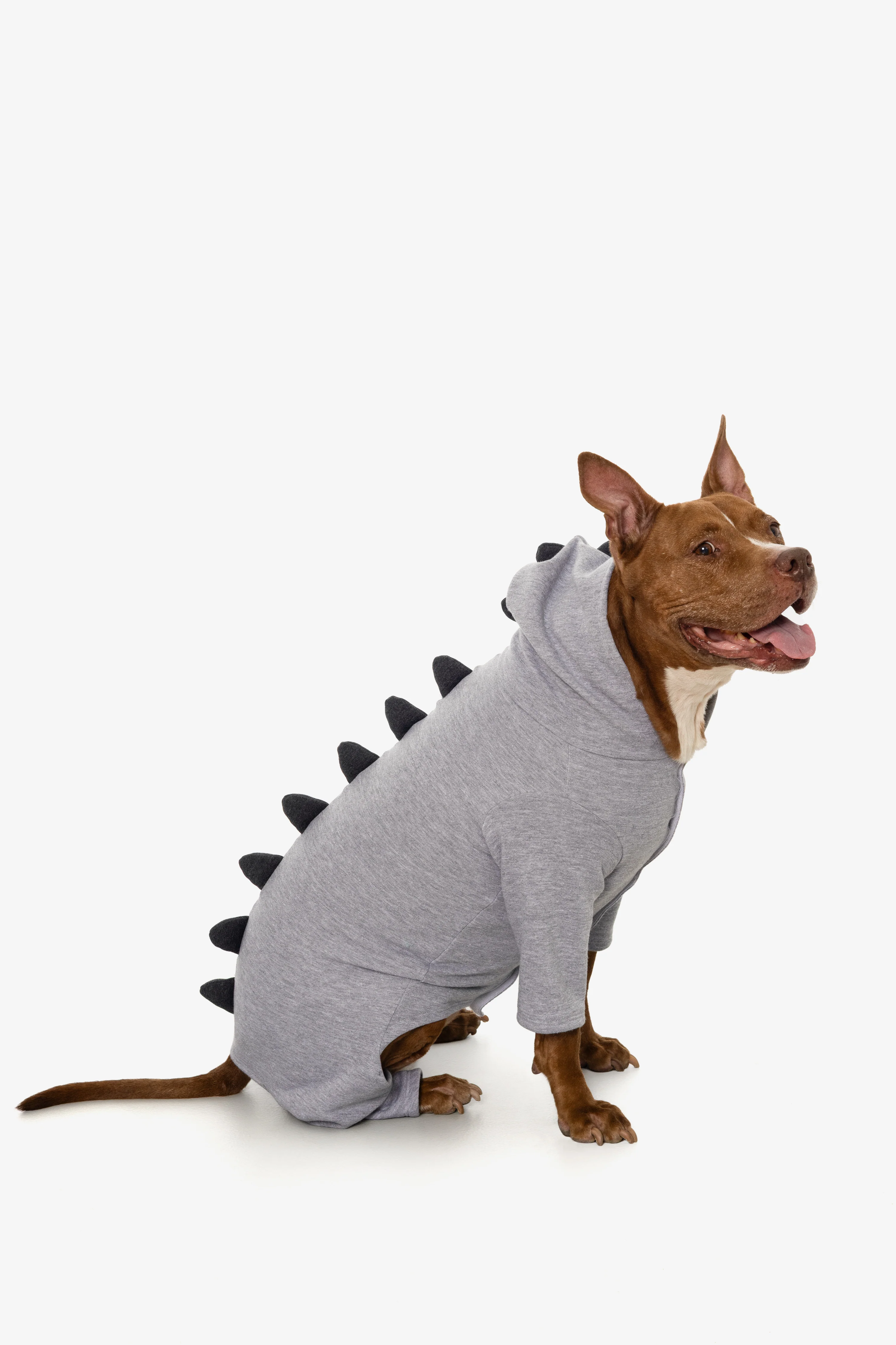 FF900 - Dogzilla - Image 19