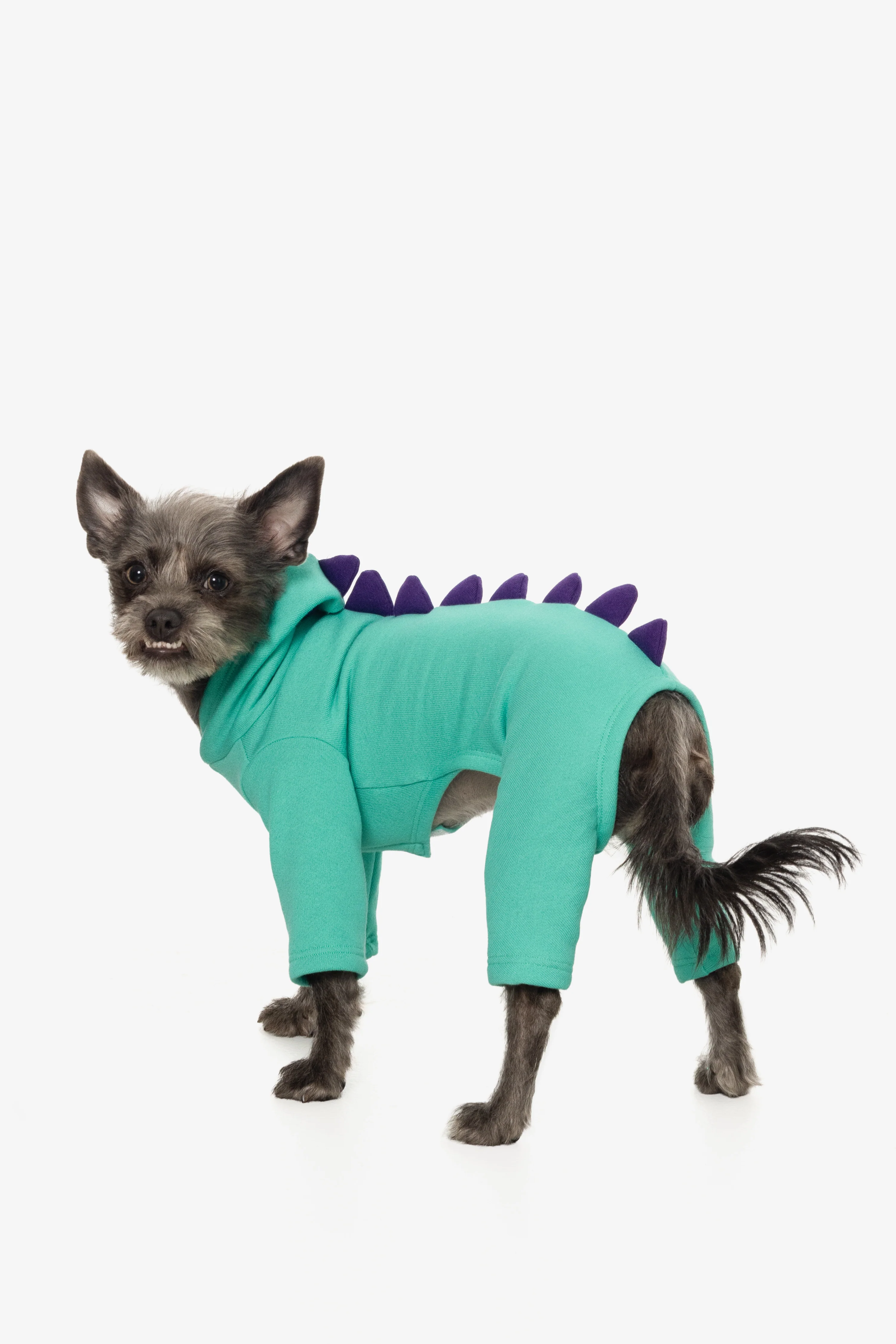 FF900 - Dogzilla - Image 2