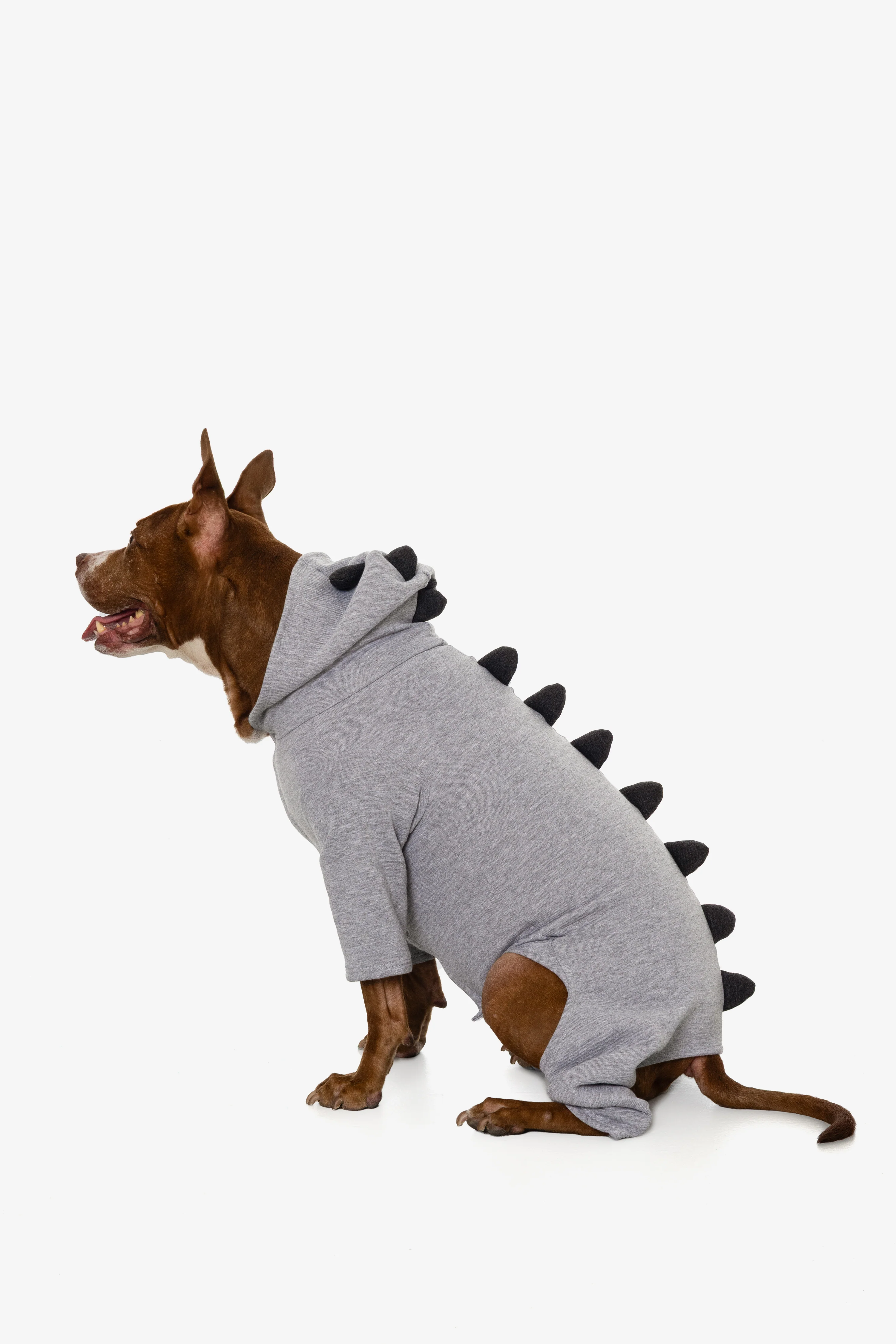 FF900 - Dogzilla - Image 20