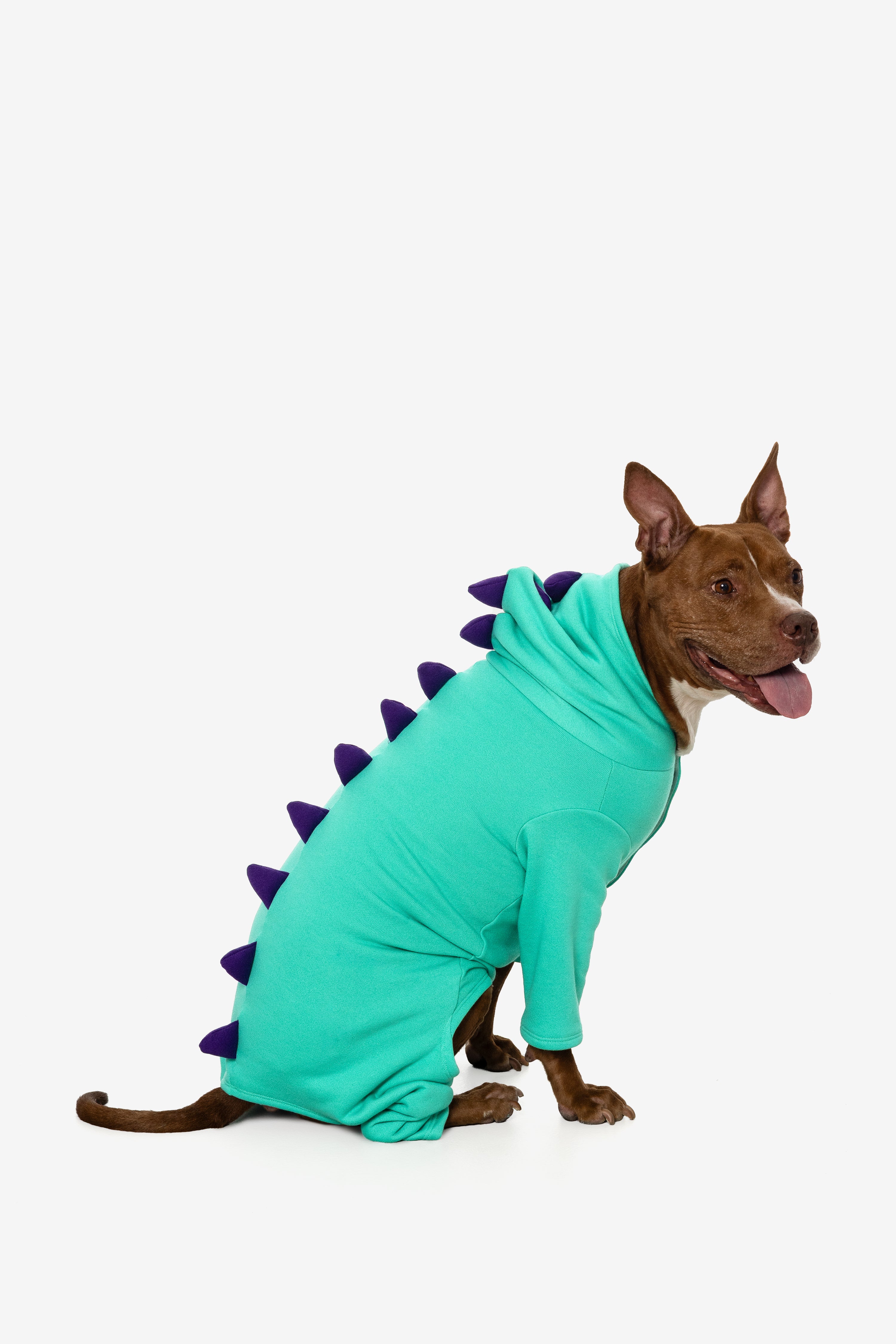 FF900 - Dogzilla - Image 5