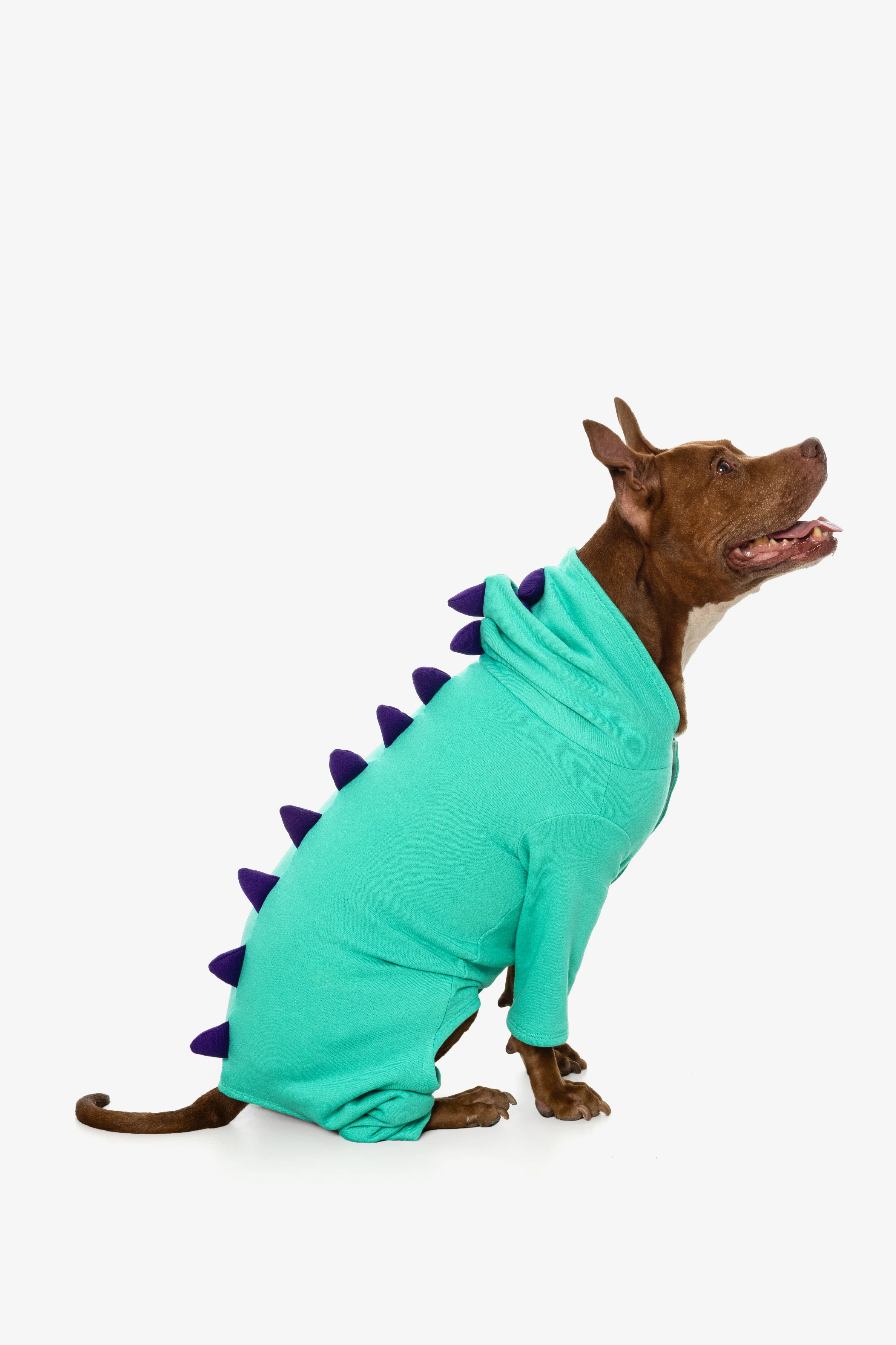 FF900 - Dogzilla - Image 6