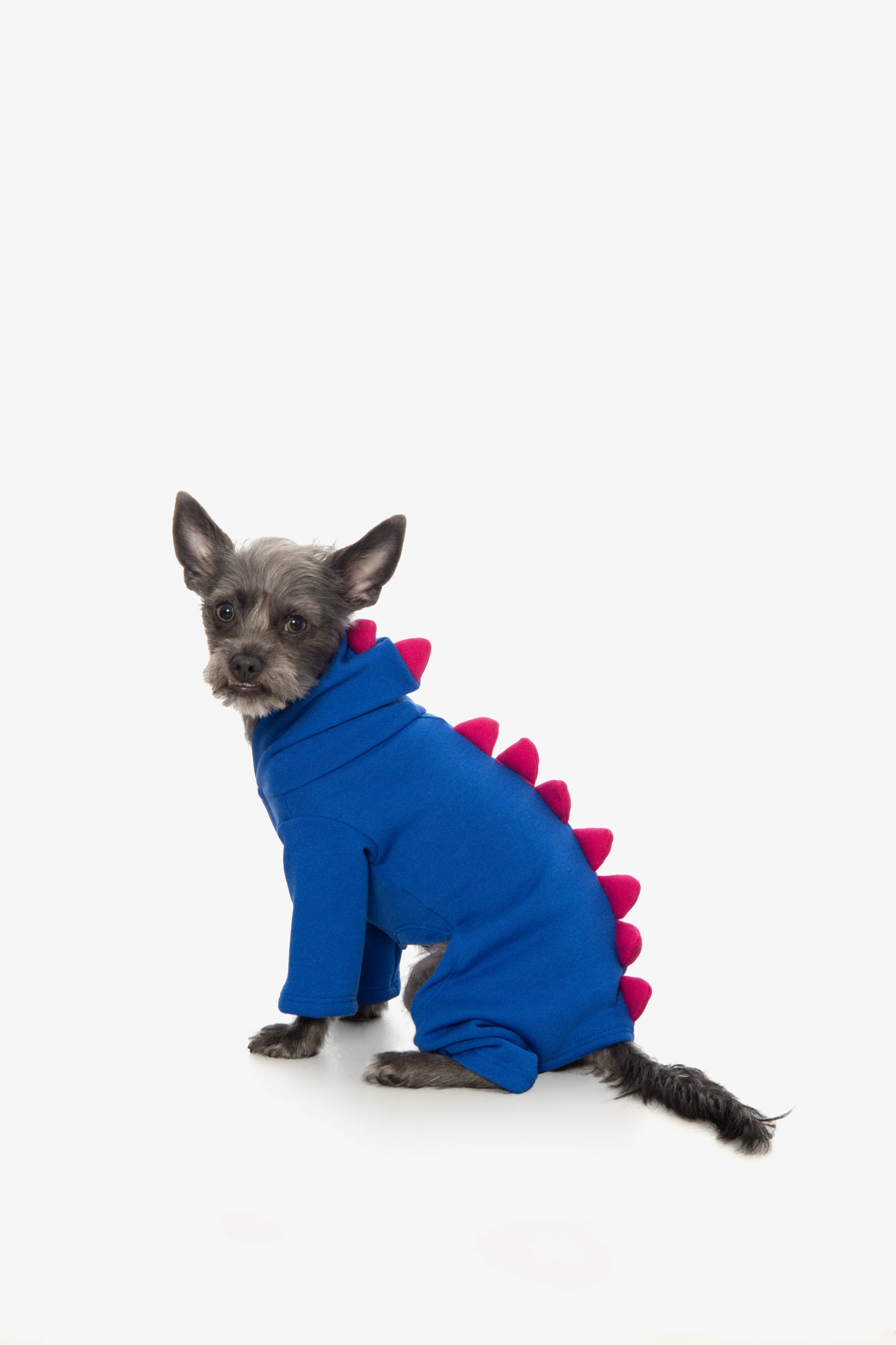 FF900 - Dogzilla - Image 7