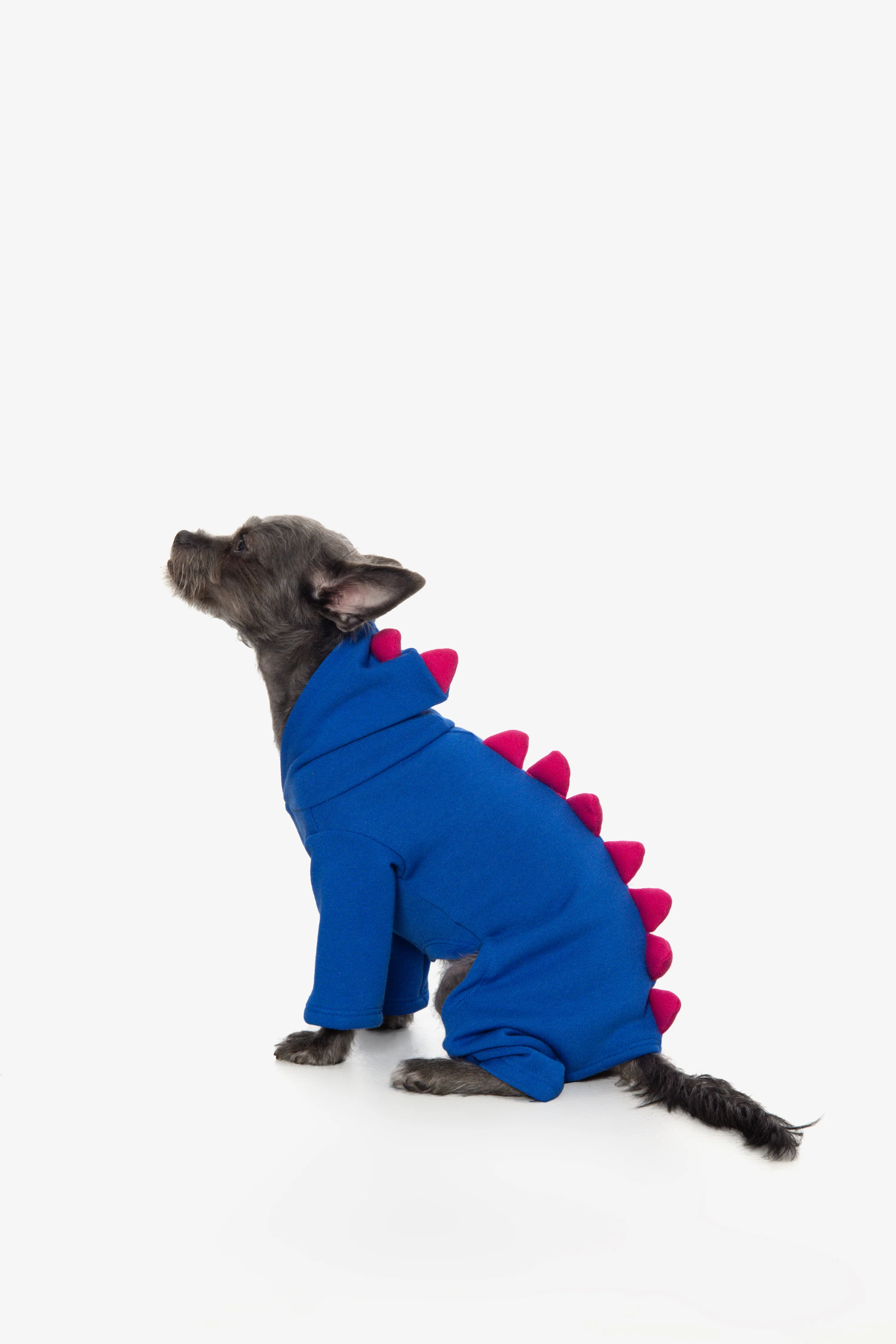FF900 - Dogzilla - Image 9