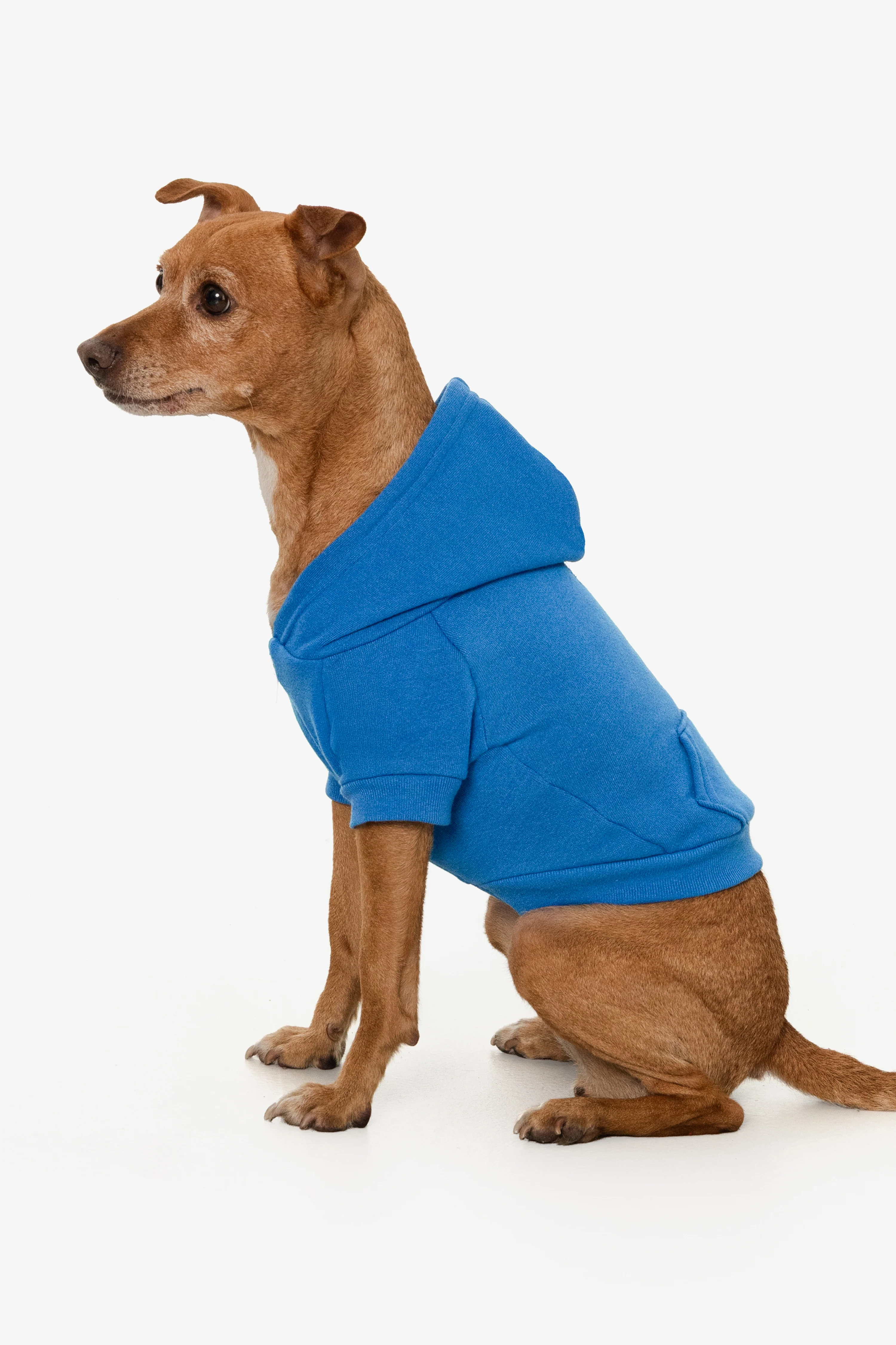 FF997 - Flex Fleece Dog Zip Hoodie - Image 10