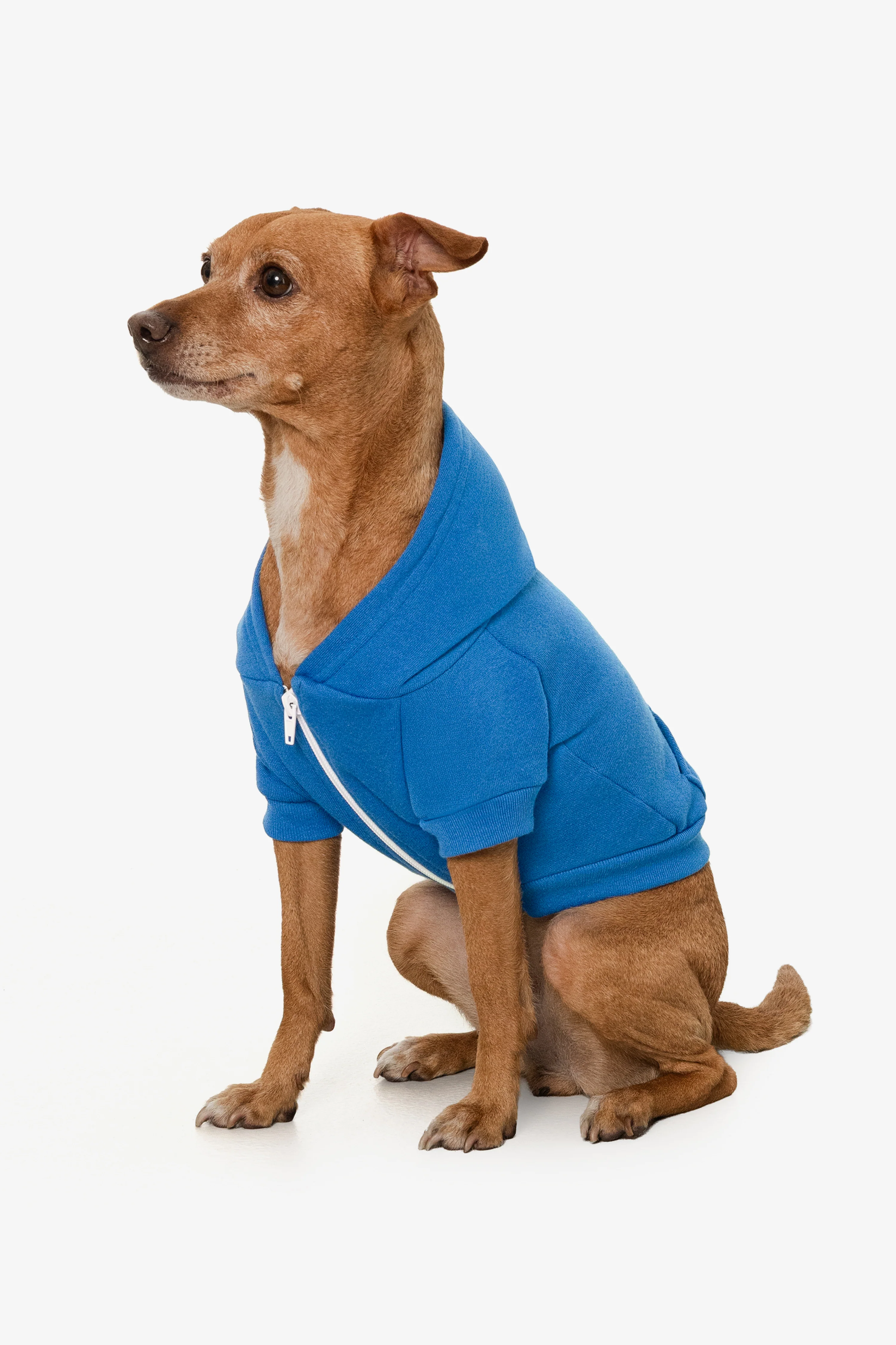 FF997 - Flex Fleece Dog Zip Hoodie - Image 11