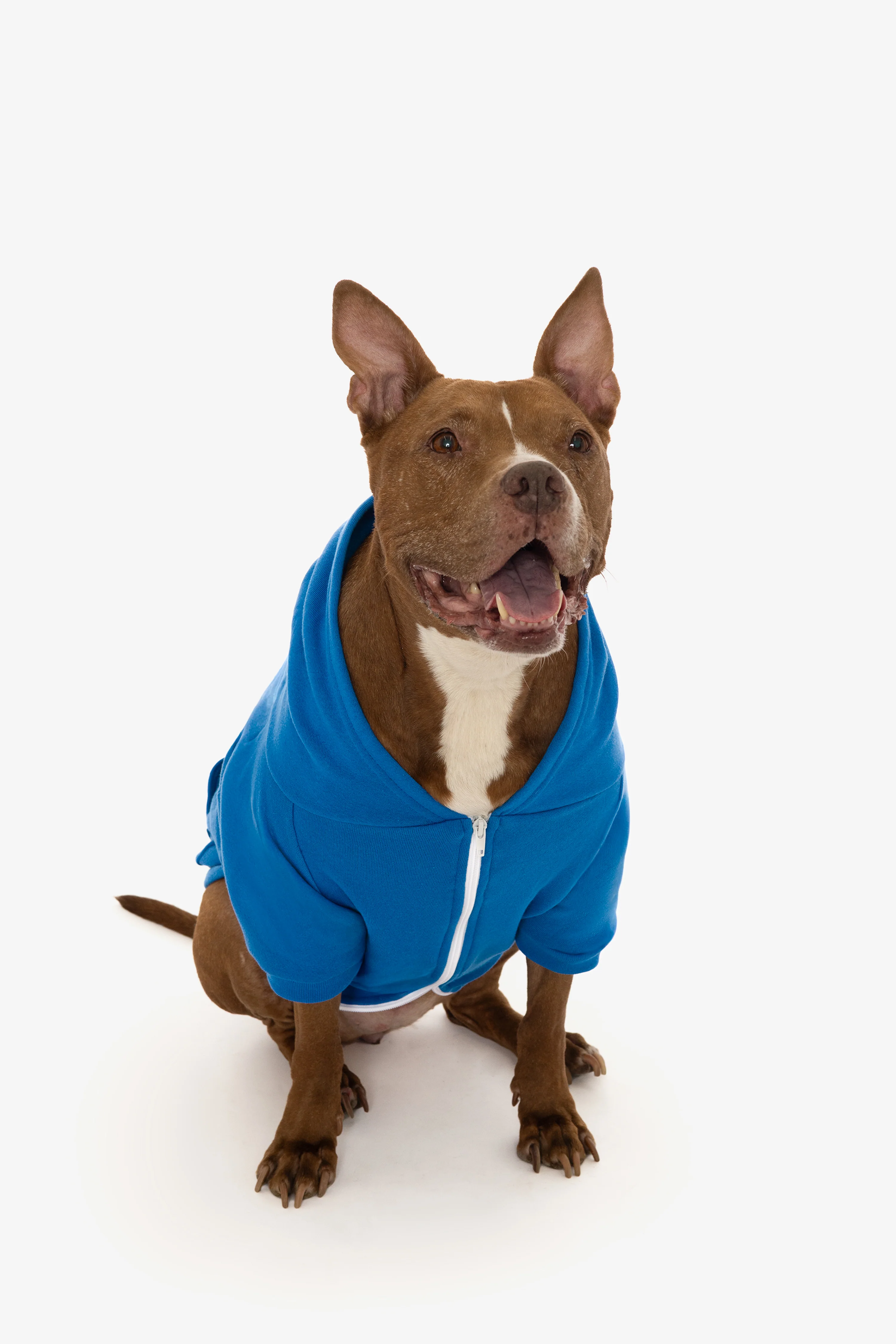 FF997 - Flex Fleece Dog Zip Hoodie - Image 12