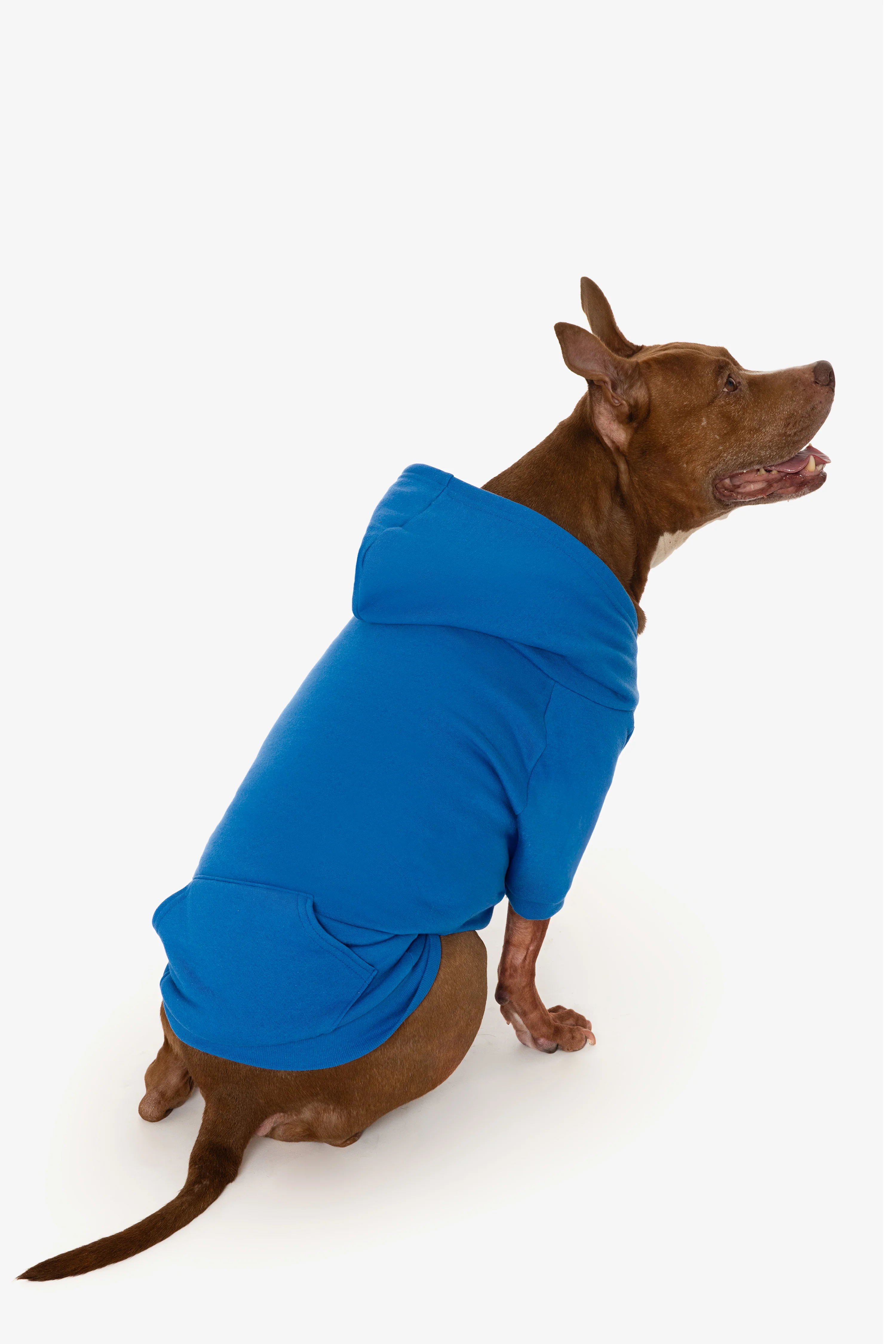 FF997 - Flex Fleece Dog Zip Hoodie - Image 13