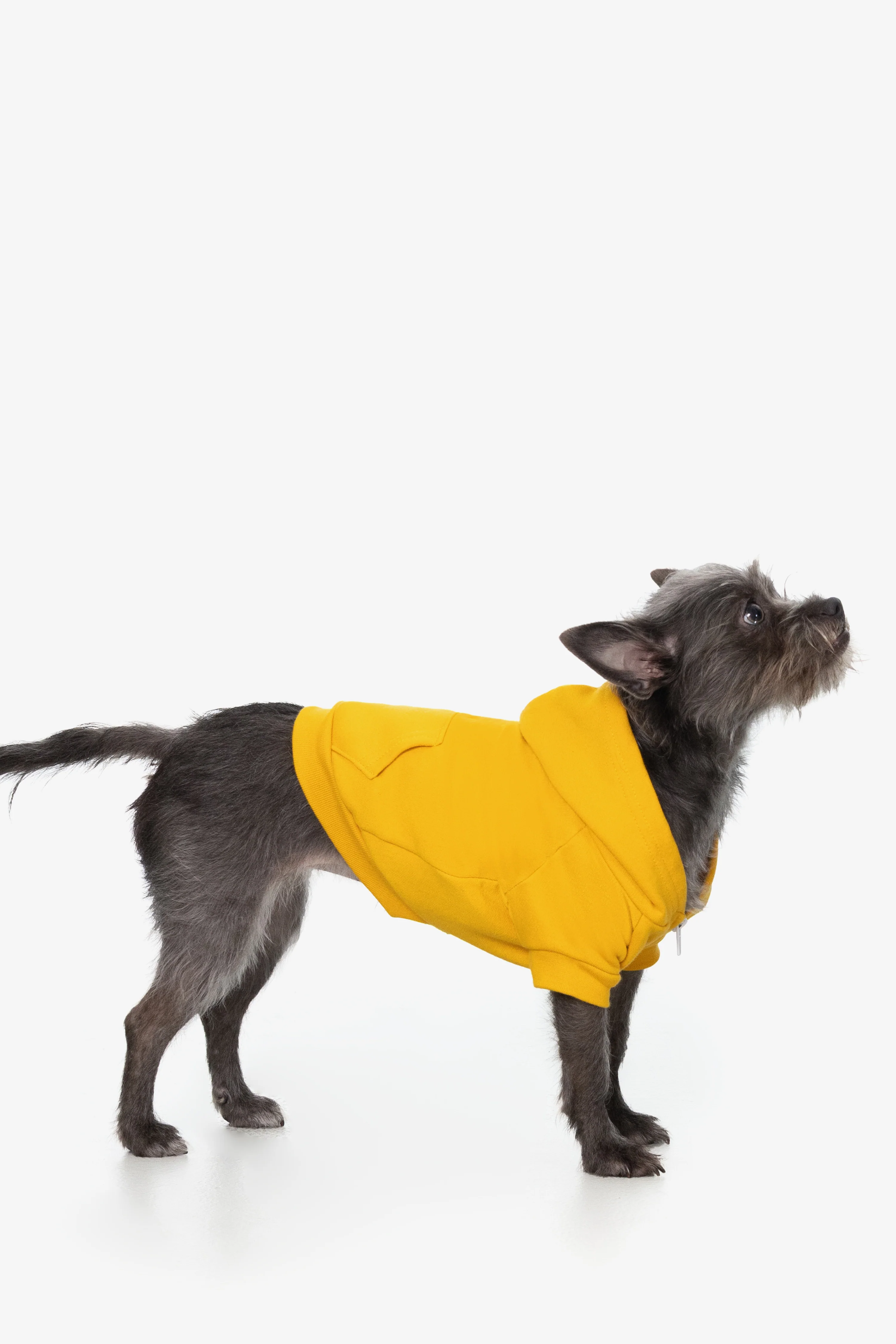 FF997 - Flex Fleece Dog Zip Hoodie - Image 14