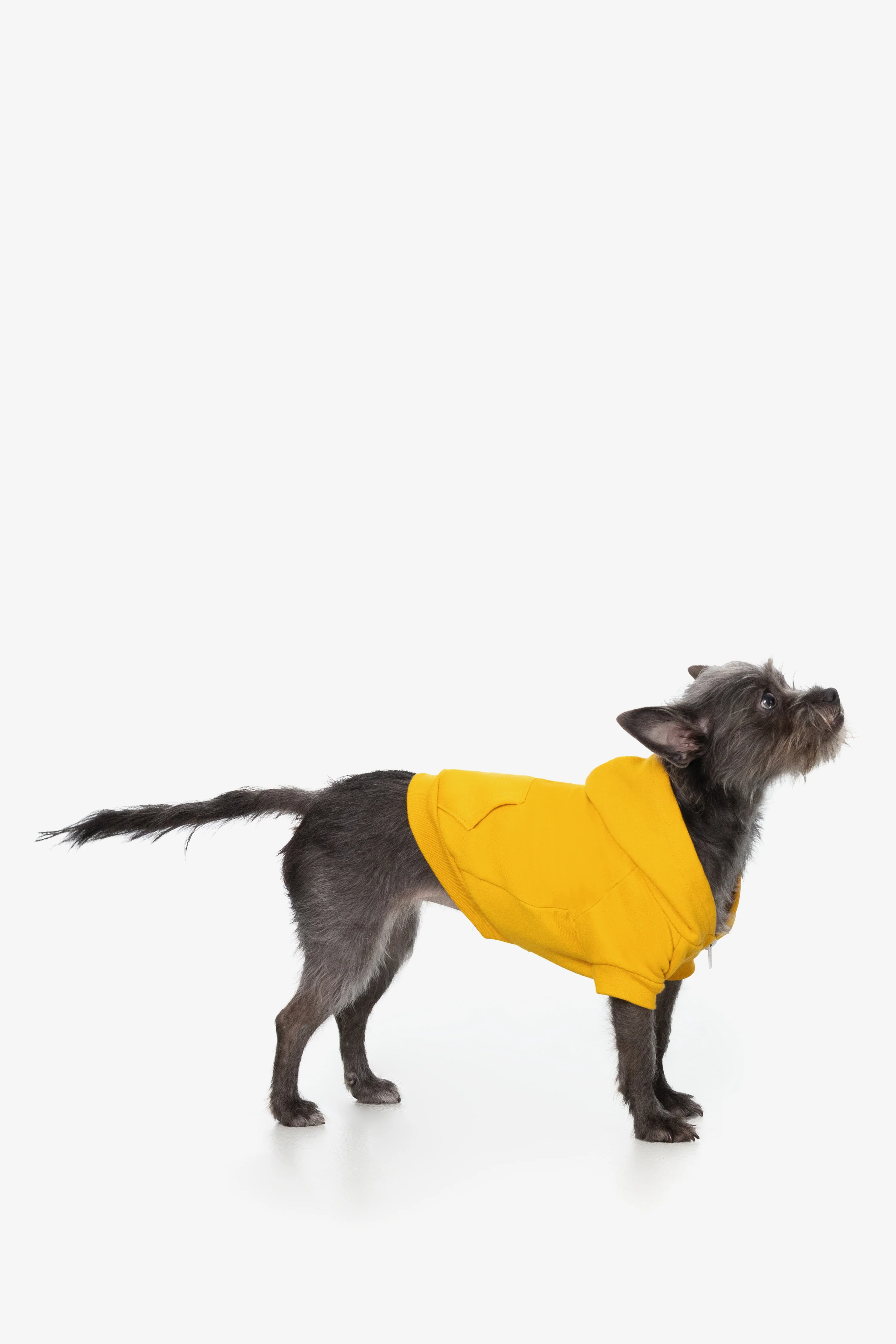 FF997 - Flex Fleece Dog Zip Hoodie - Image 15