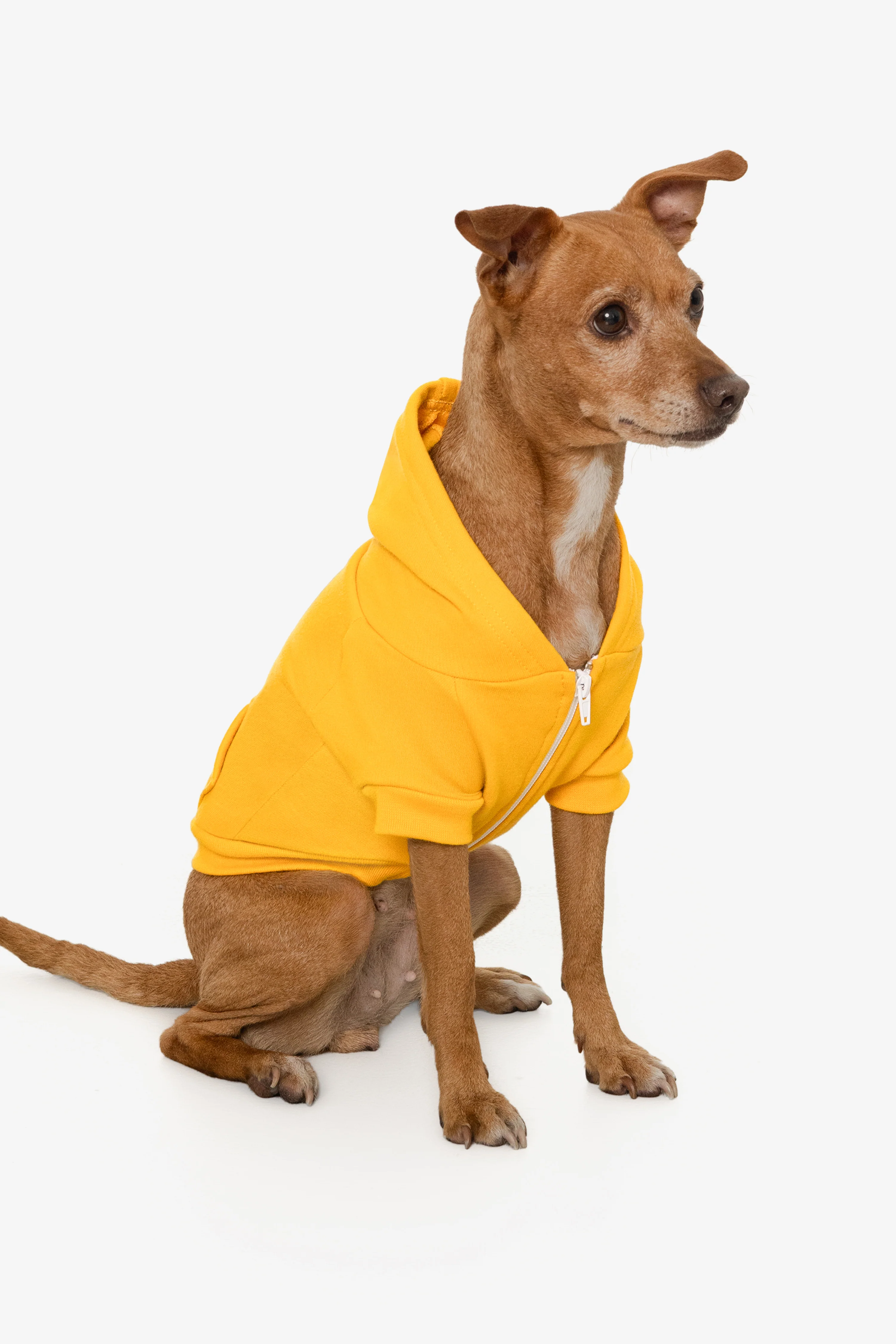 FF997 - Flex Fleece Dog Zip Hoodie - Image 16