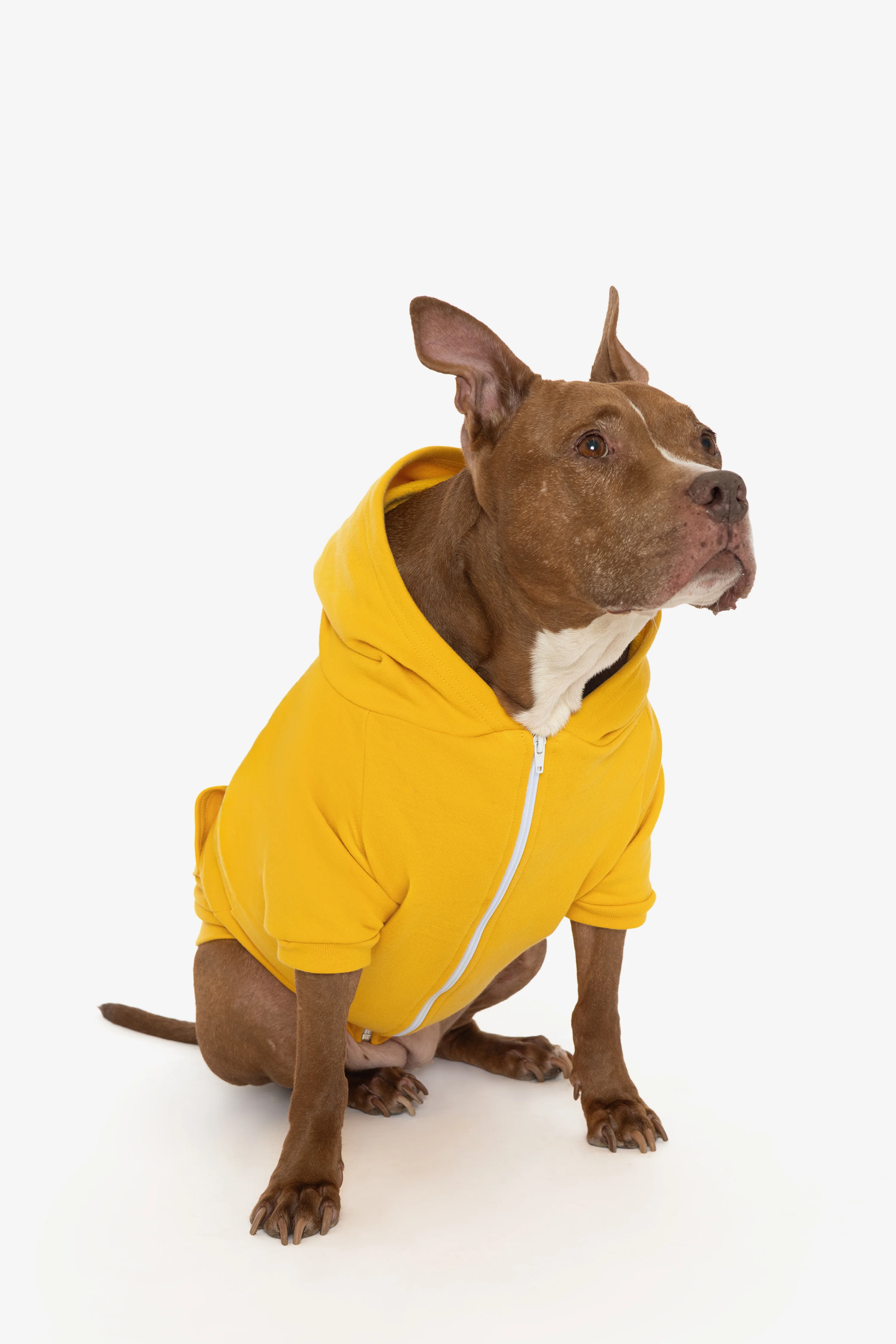 FF997 - Flex Fleece Dog Zip Hoodie - Image 17