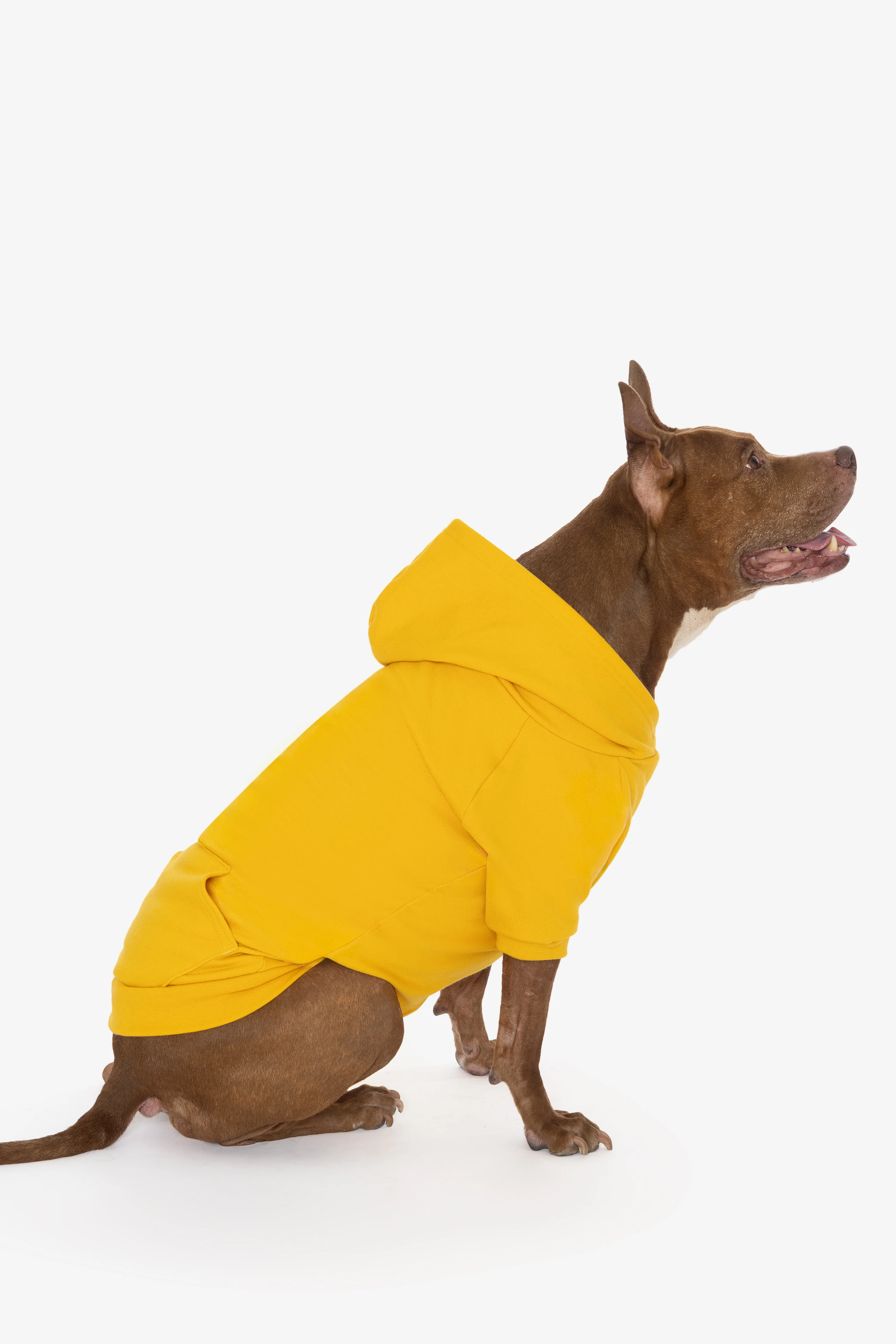 FF997 - Flex Fleece Dog Zip Hoodie - Image 18