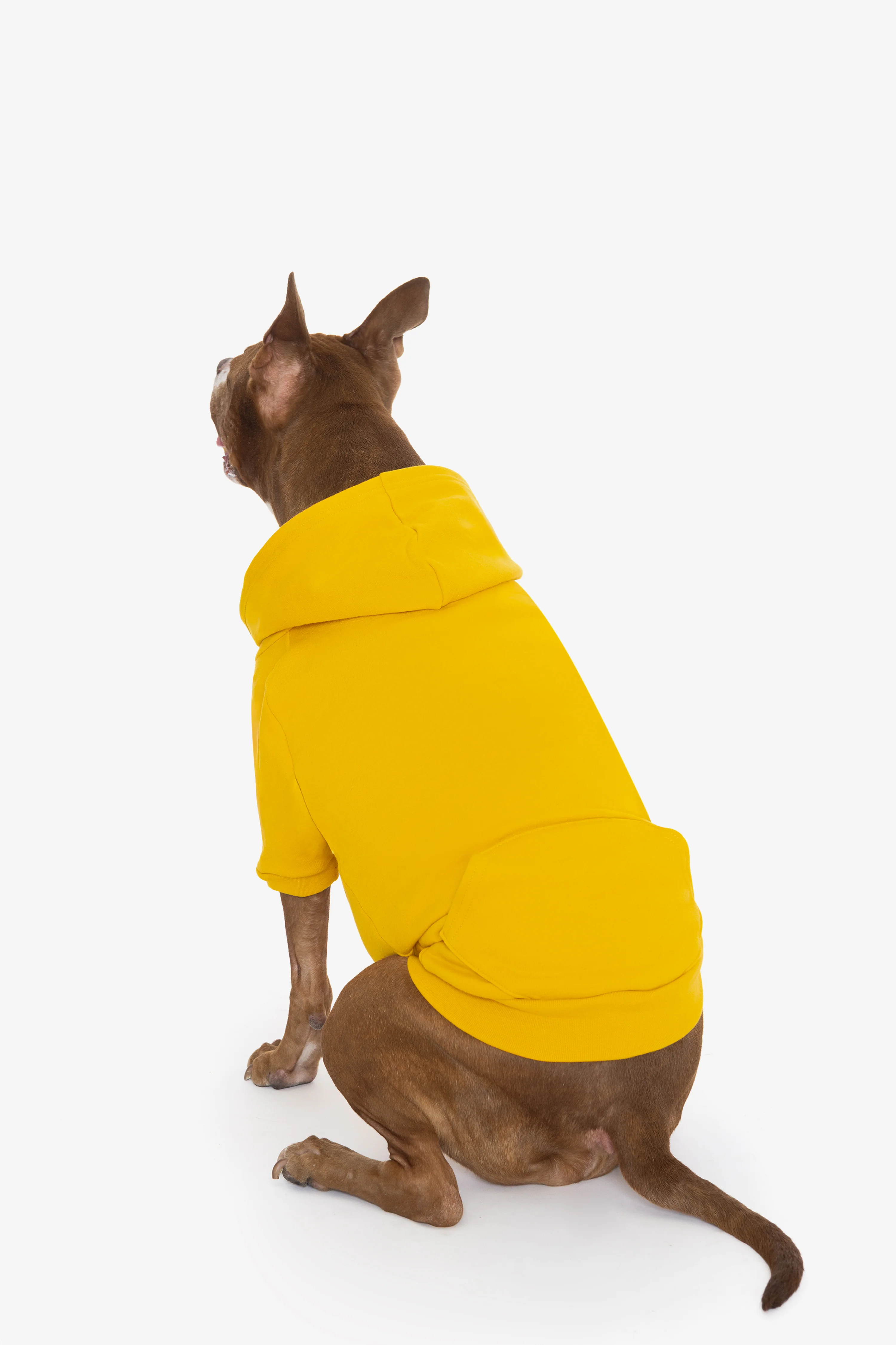 FF997 - Flex Fleece Dog Zip Hoodie - Image 19