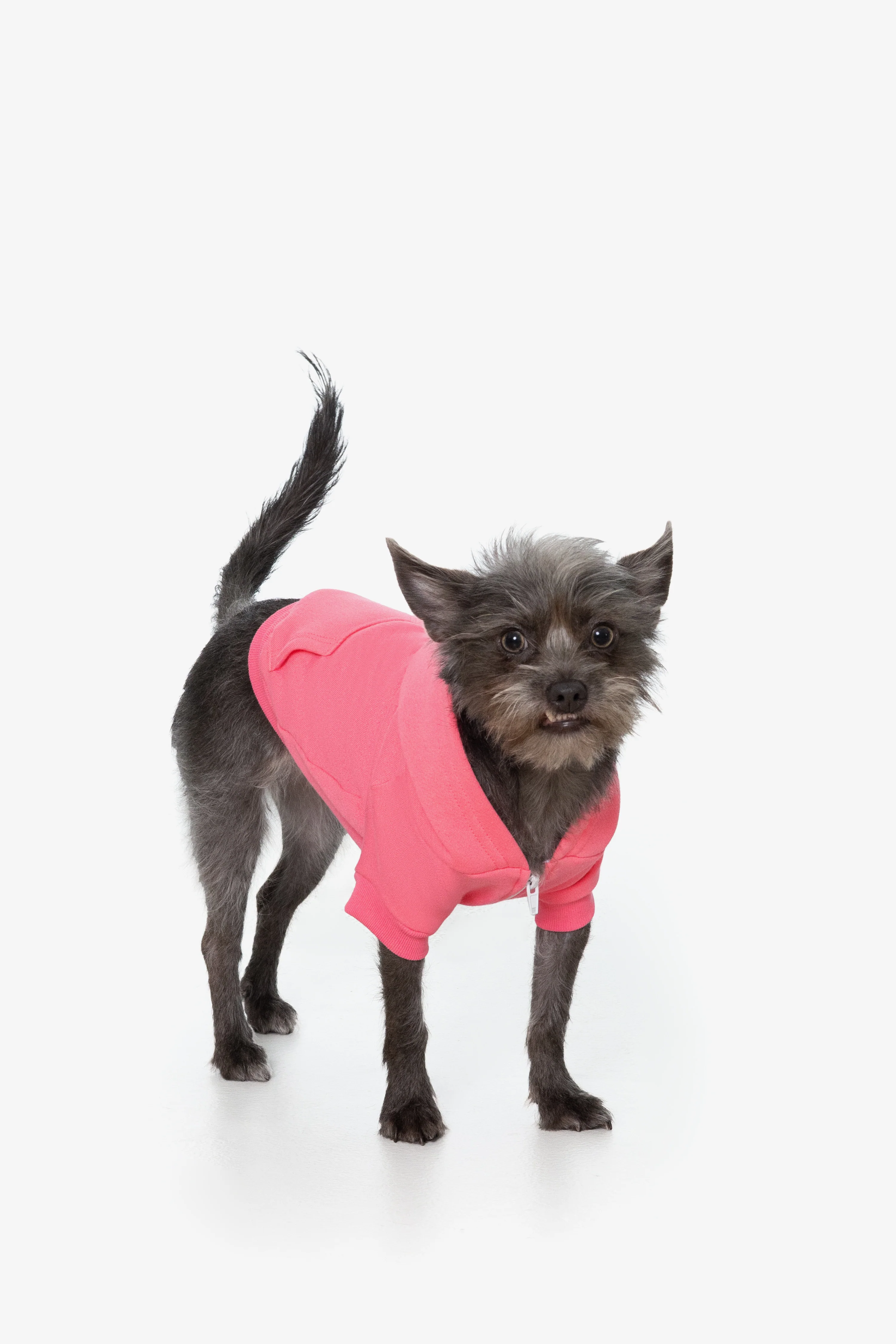 FF997 - Flex Fleece Dog Zip Hoodie - Image 20
