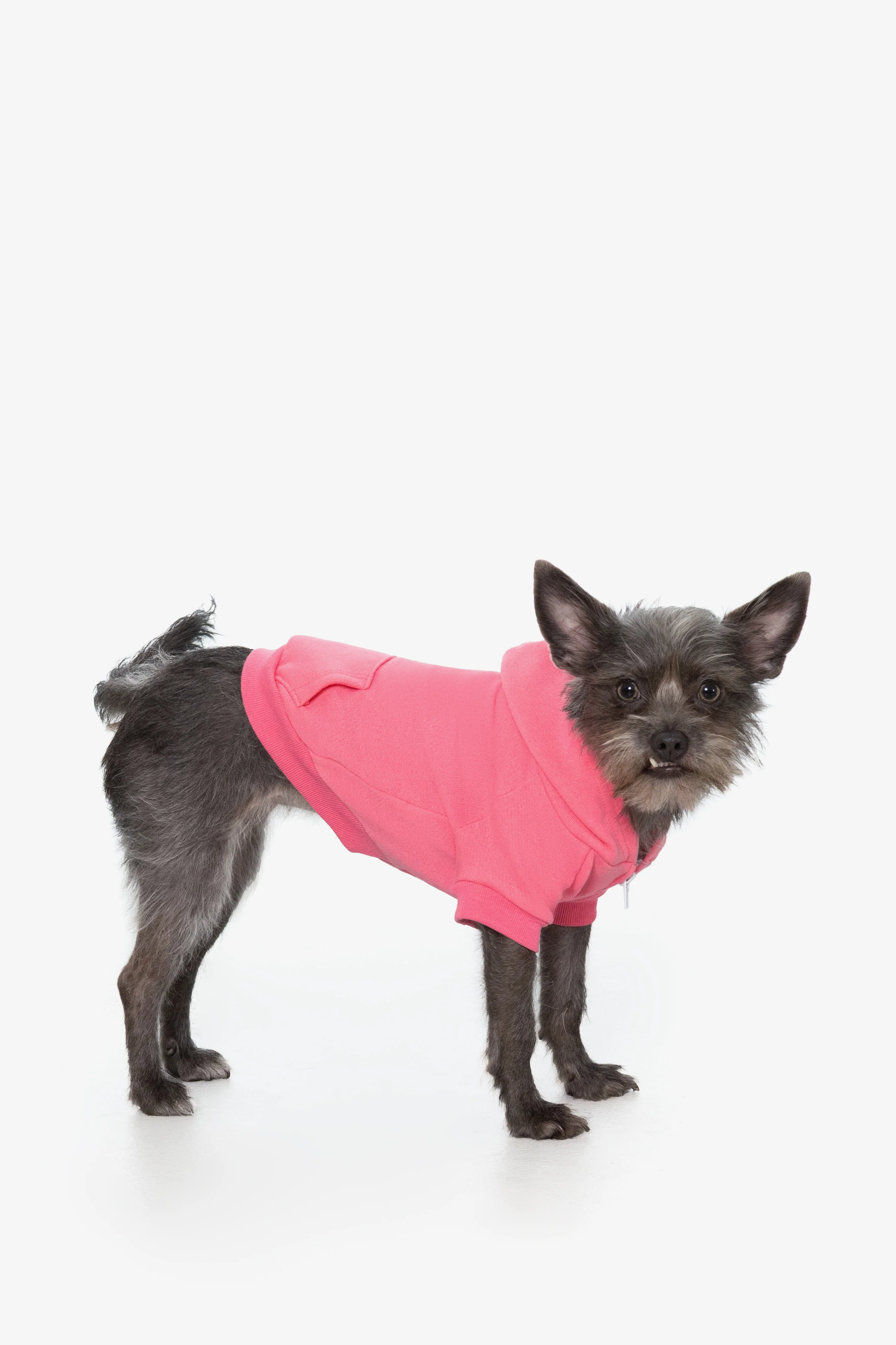 FF997 - Flex Fleece Dog Zip Hoodie - Image 21