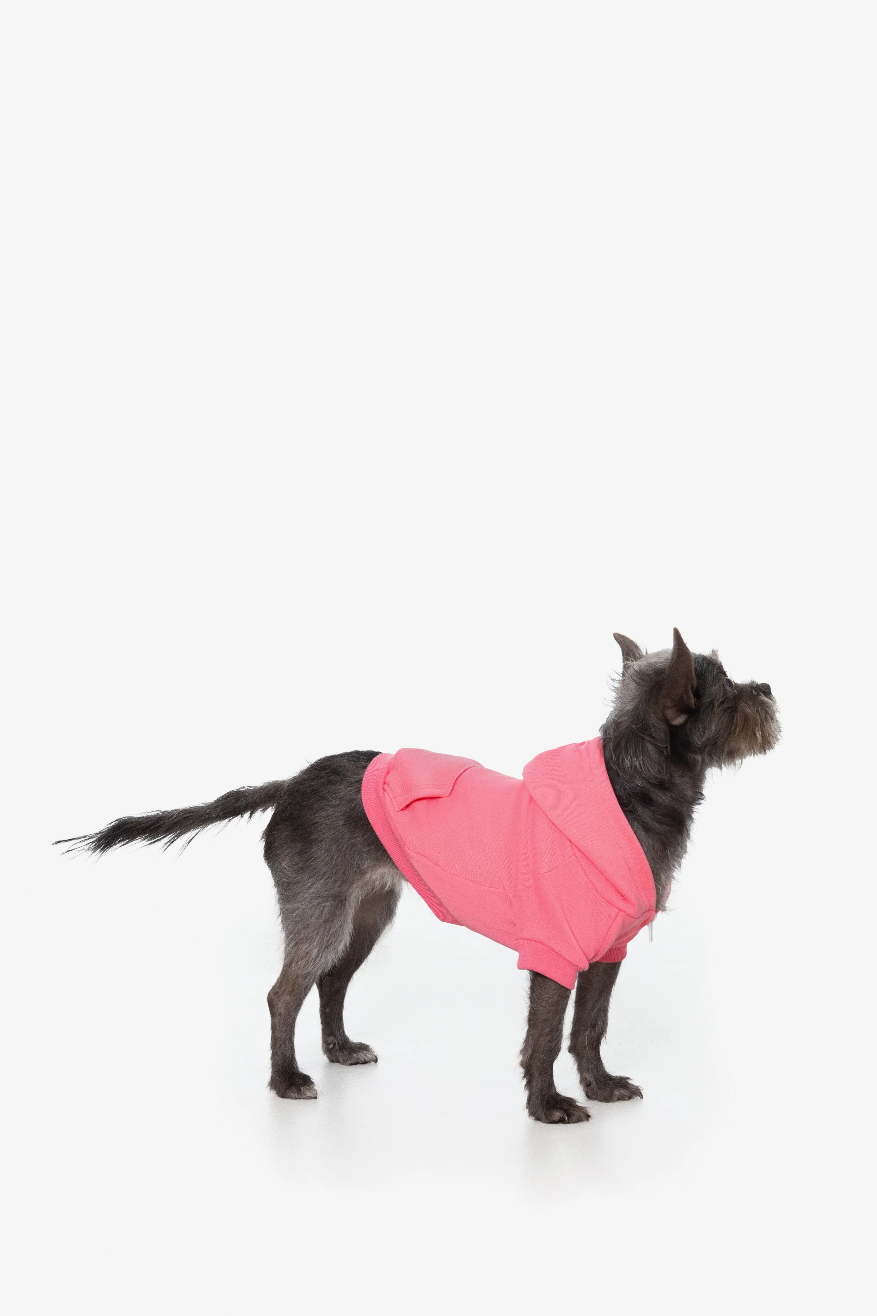 FF997 - Flex Fleece Dog Zip Hoodie - Image 22