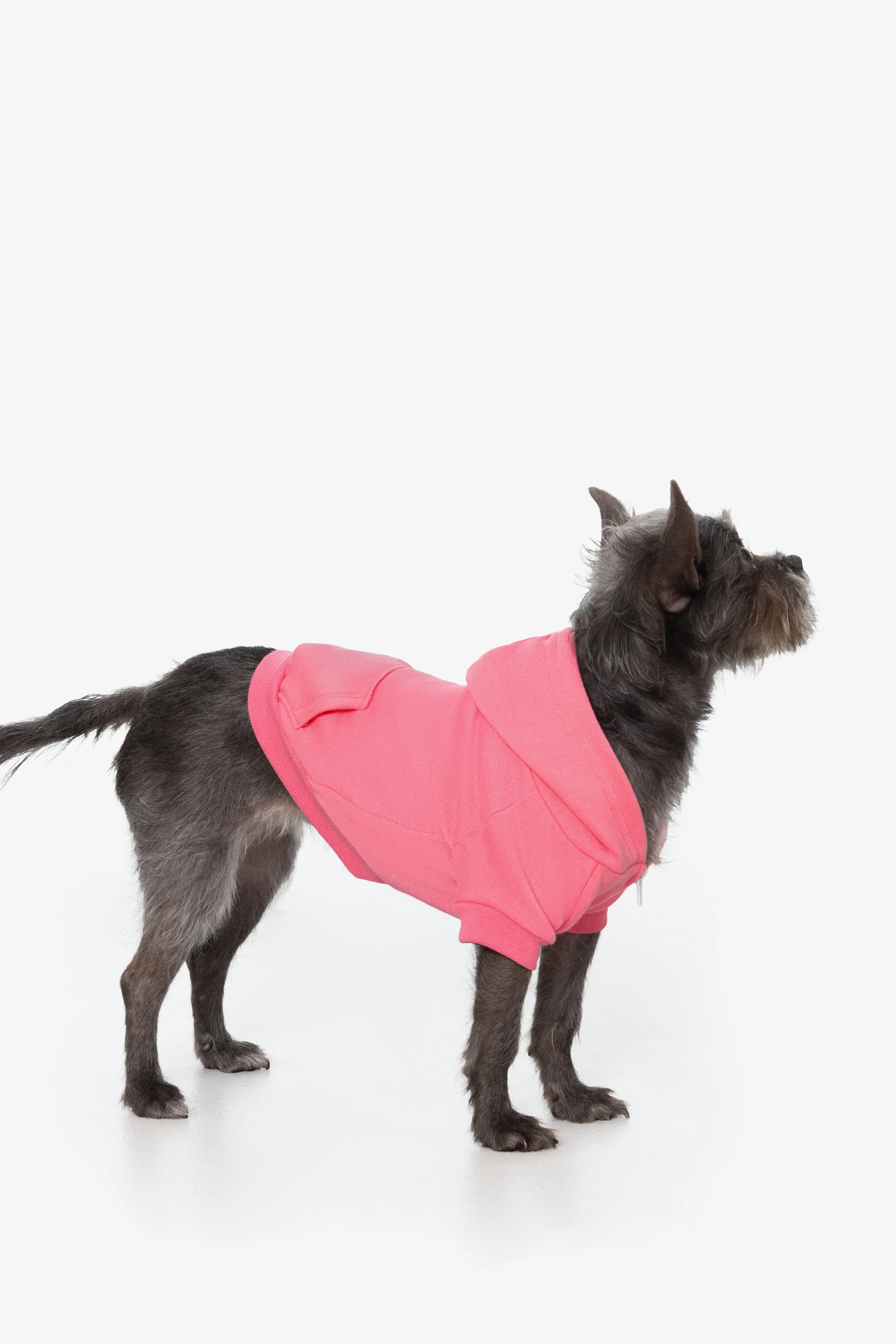 FF997 - Flex Fleece Dog Zip Hoodie - Image 23