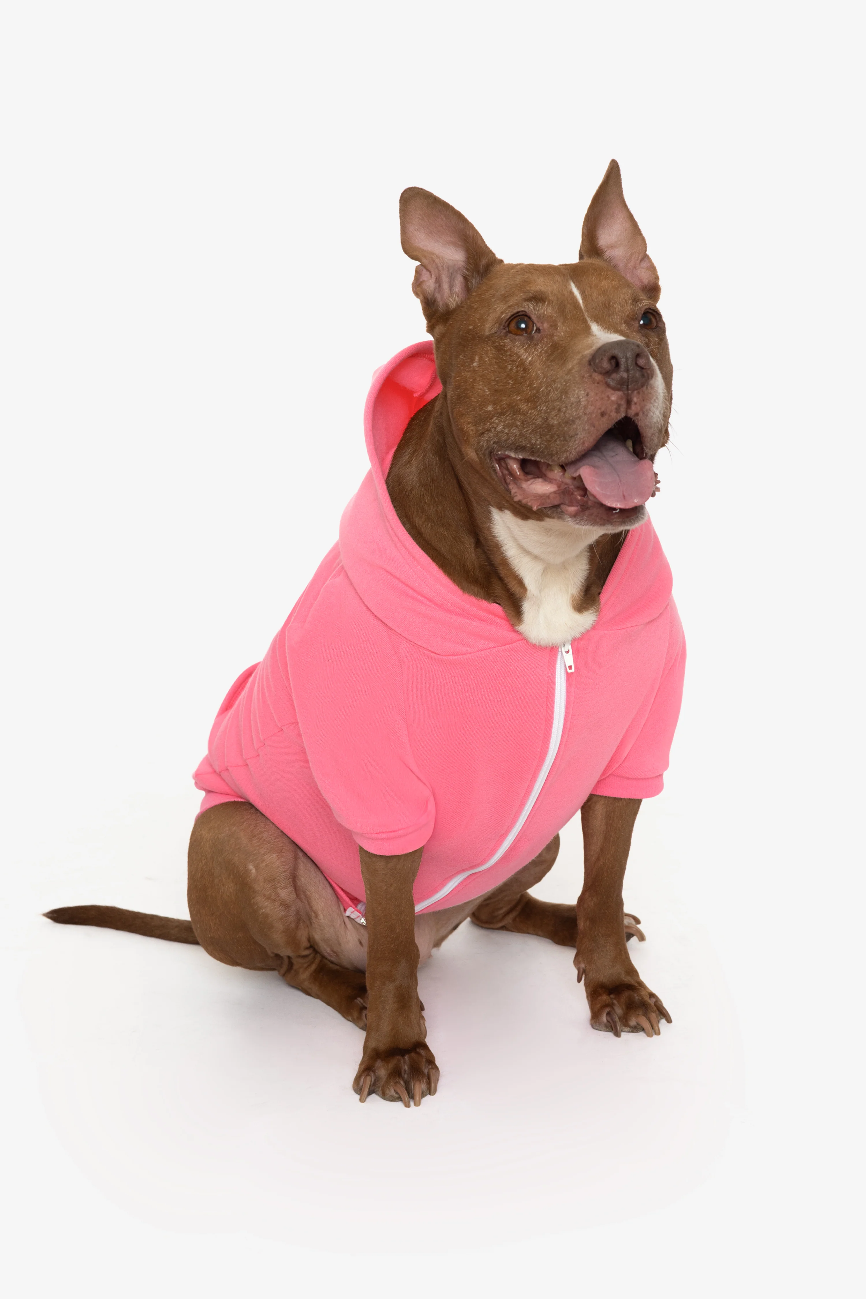 FF997 - Flex Fleece Dog Zip Hoodie - Image 24