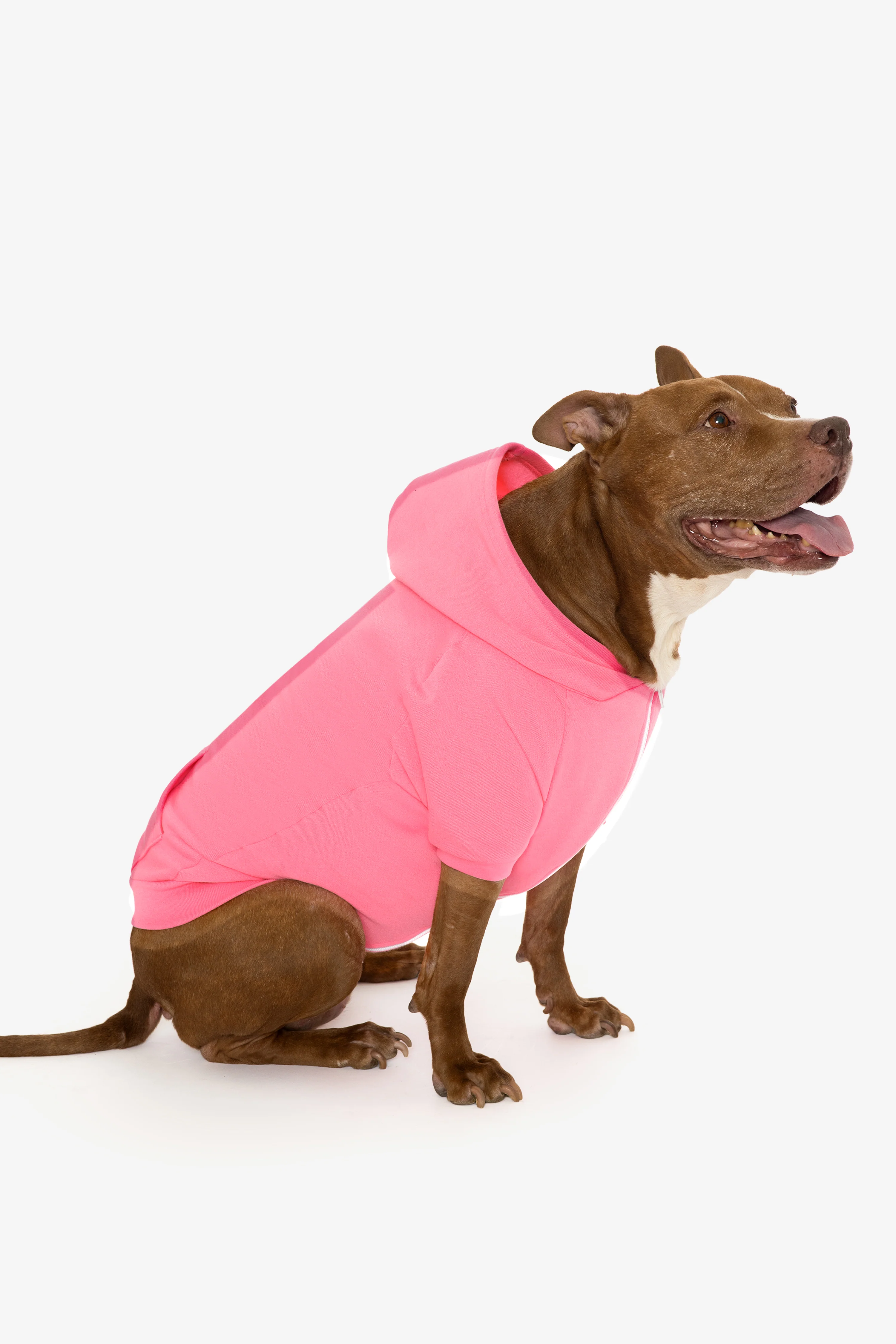 FF997 - Flex Fleece Dog Zip Hoodie - Image 25