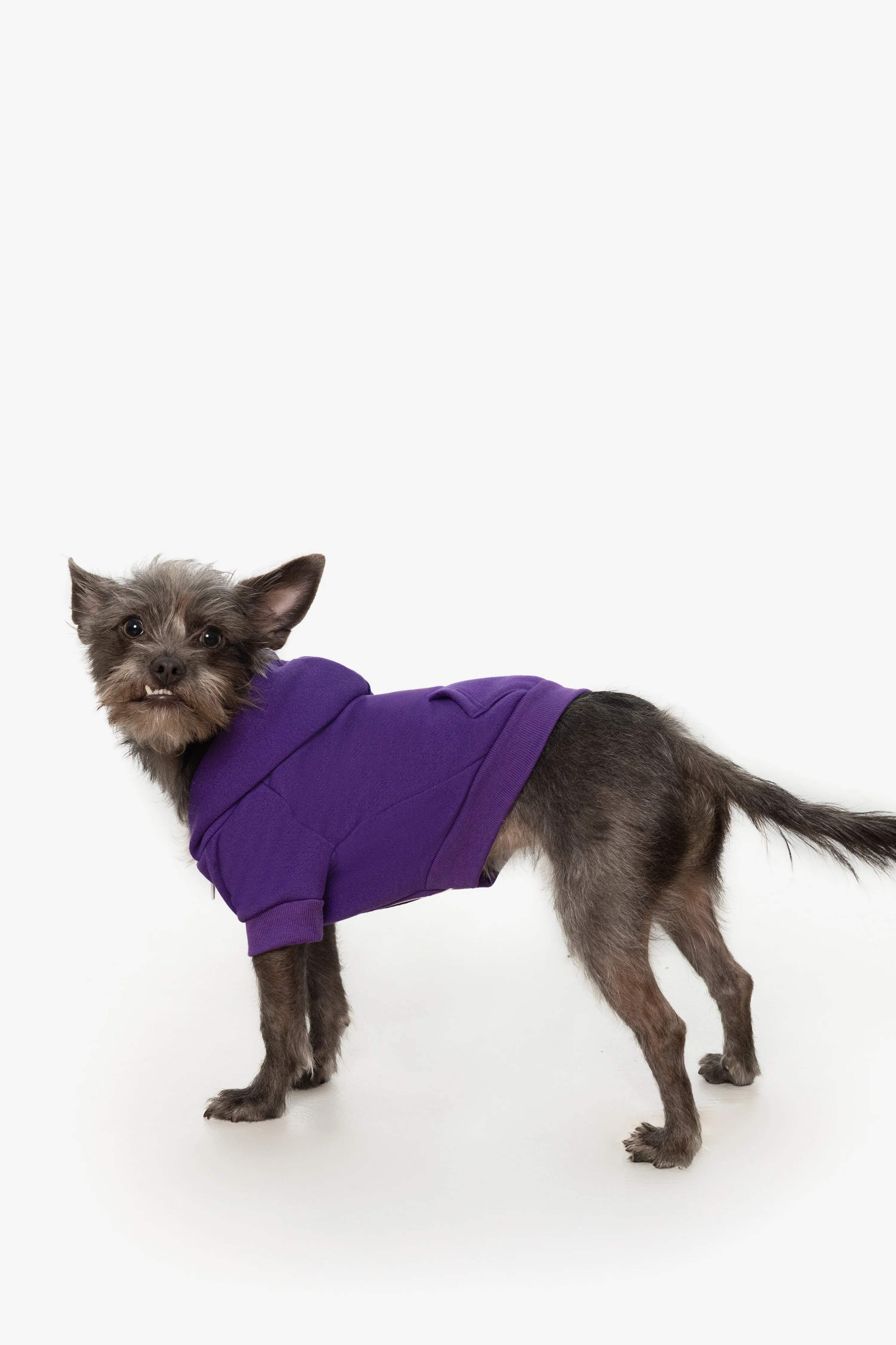FF997 - Flex Fleece Dog Zip Hoodie - Image 27