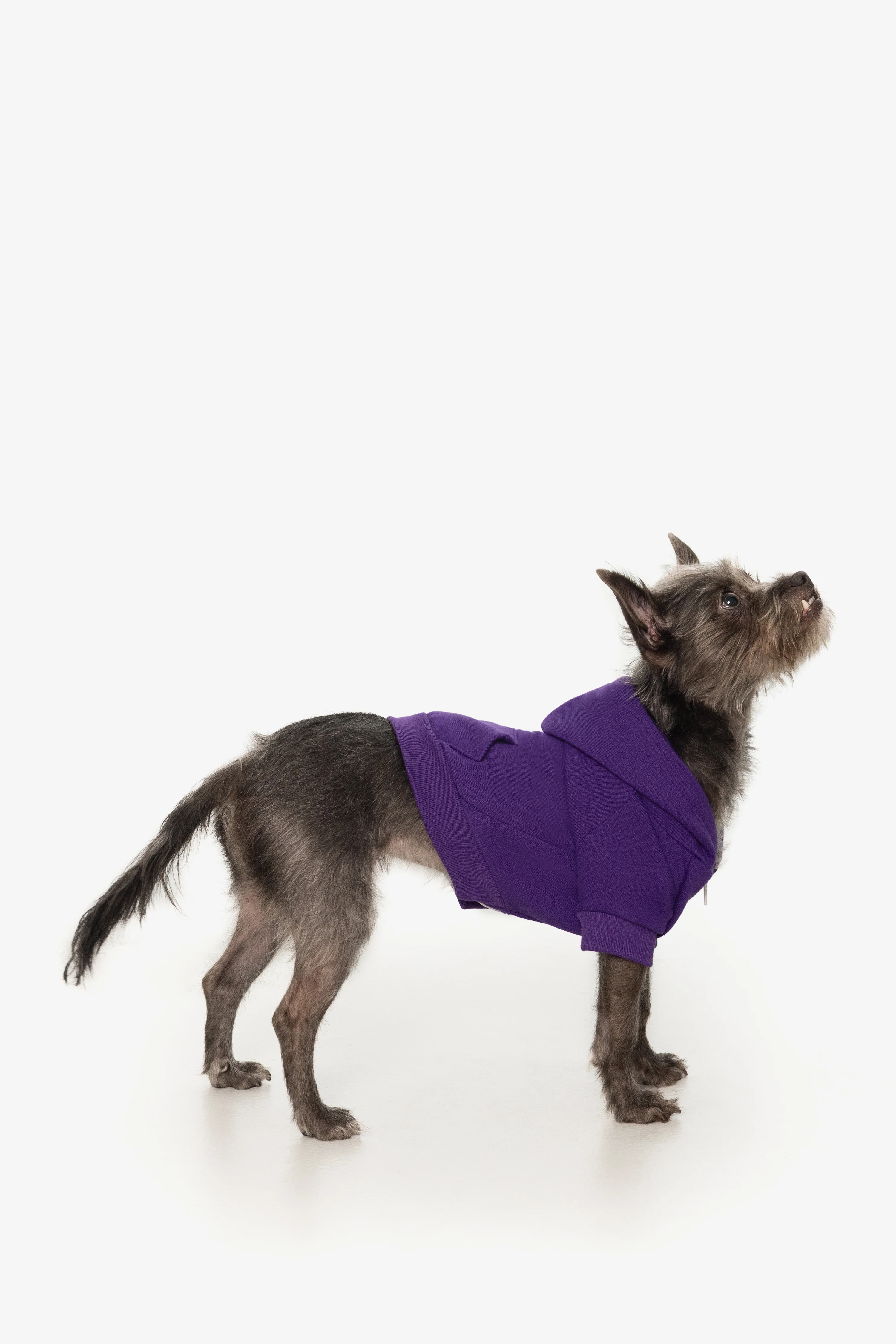 FF997 - Flex Fleece Dog Zip Hoodie - Image 28