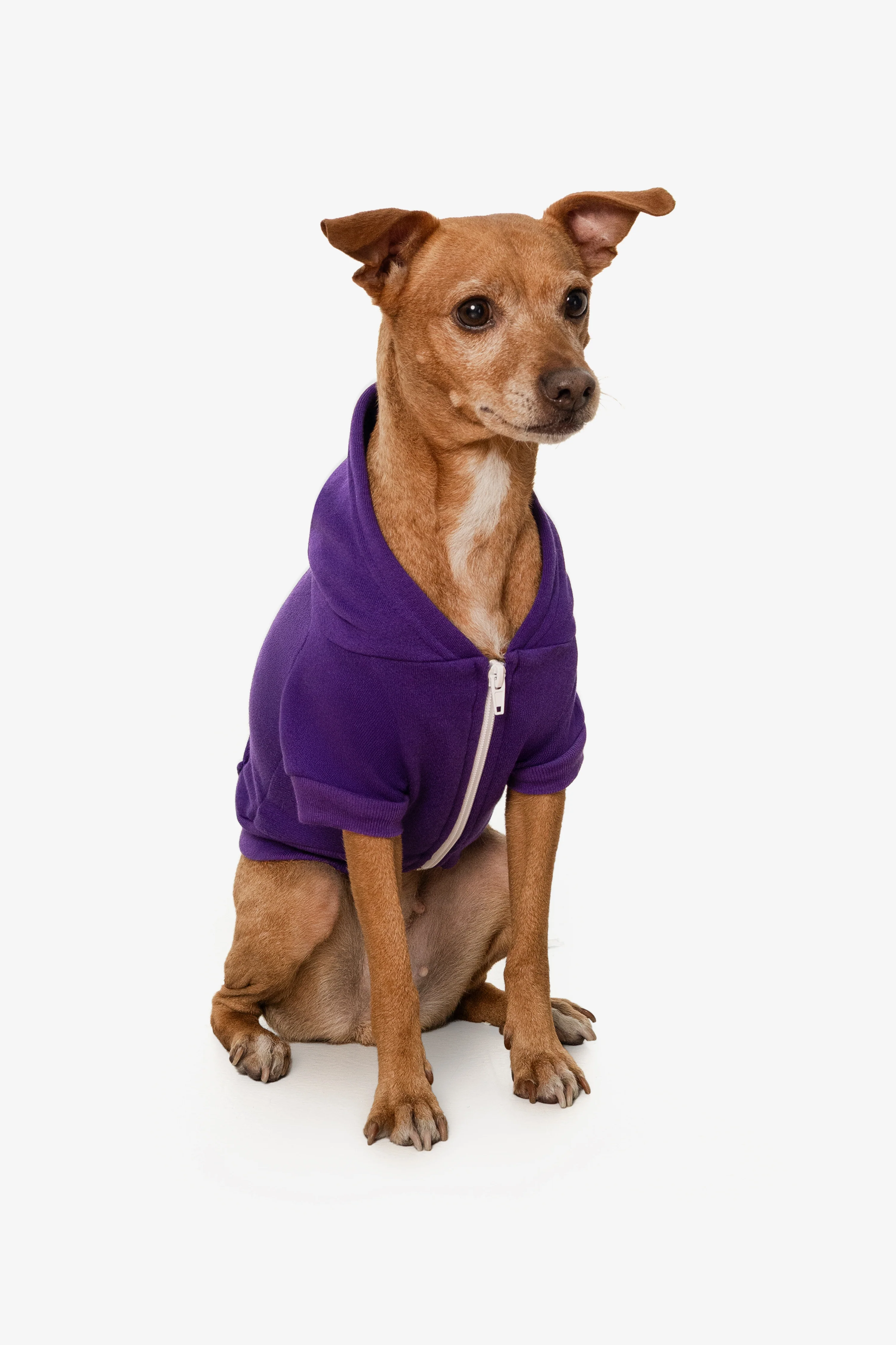 FF997 - Flex Fleece Dog Zip Hoodie - Image 29