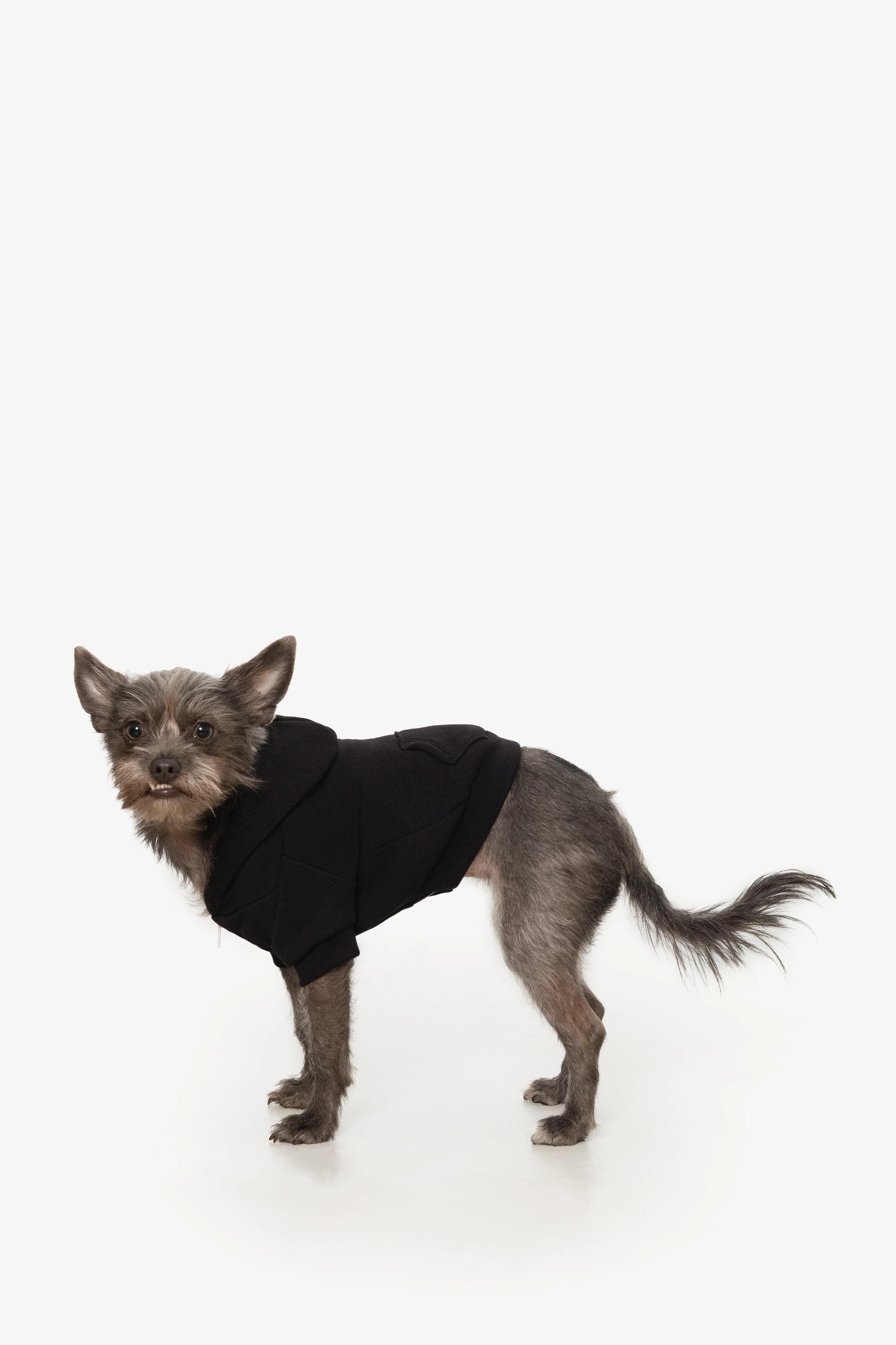 FF997 - Flex Fleece Dog Zip Hoodie - Image 3