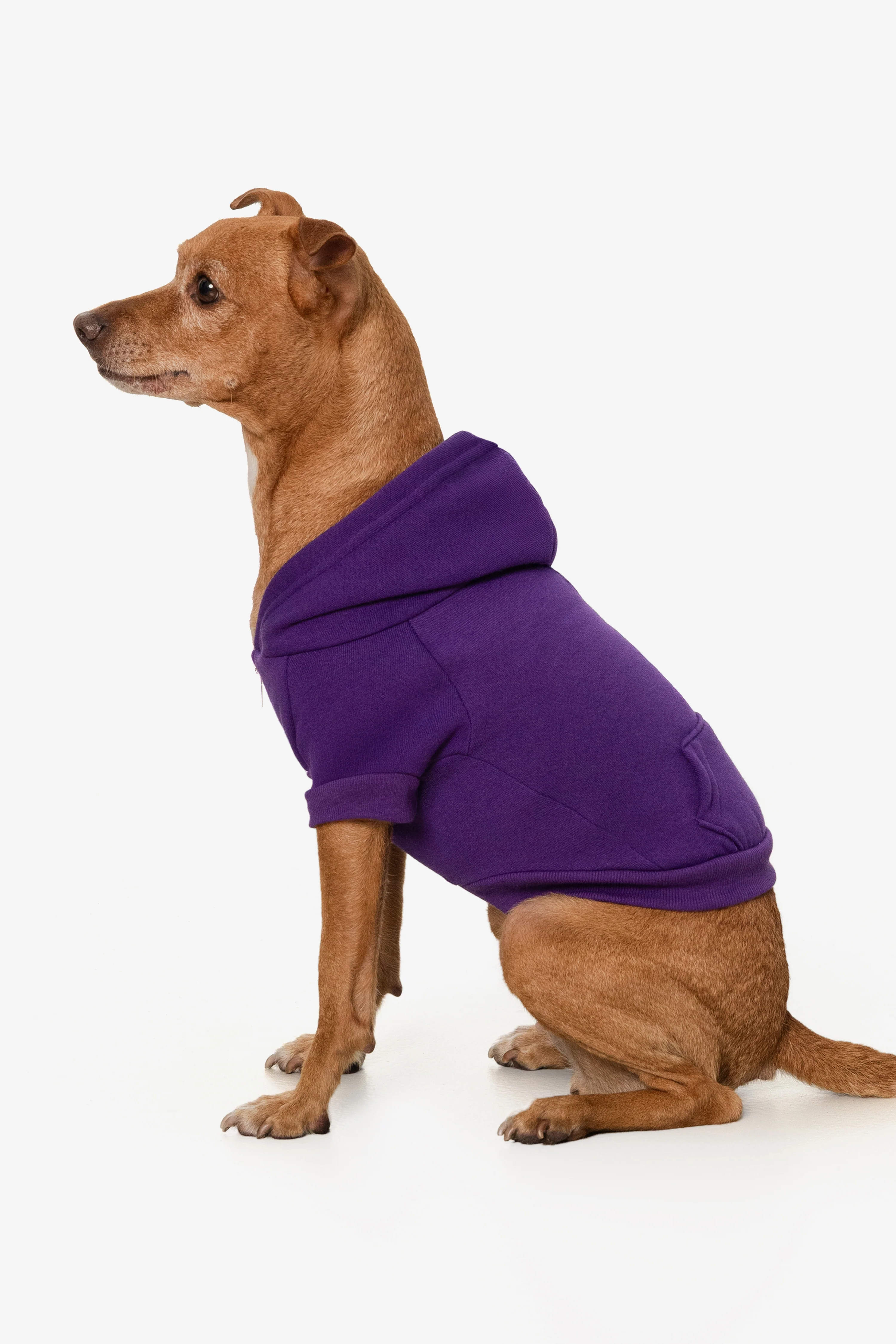 FF997 - Flex Fleece Dog Zip Hoodie - Image 30
