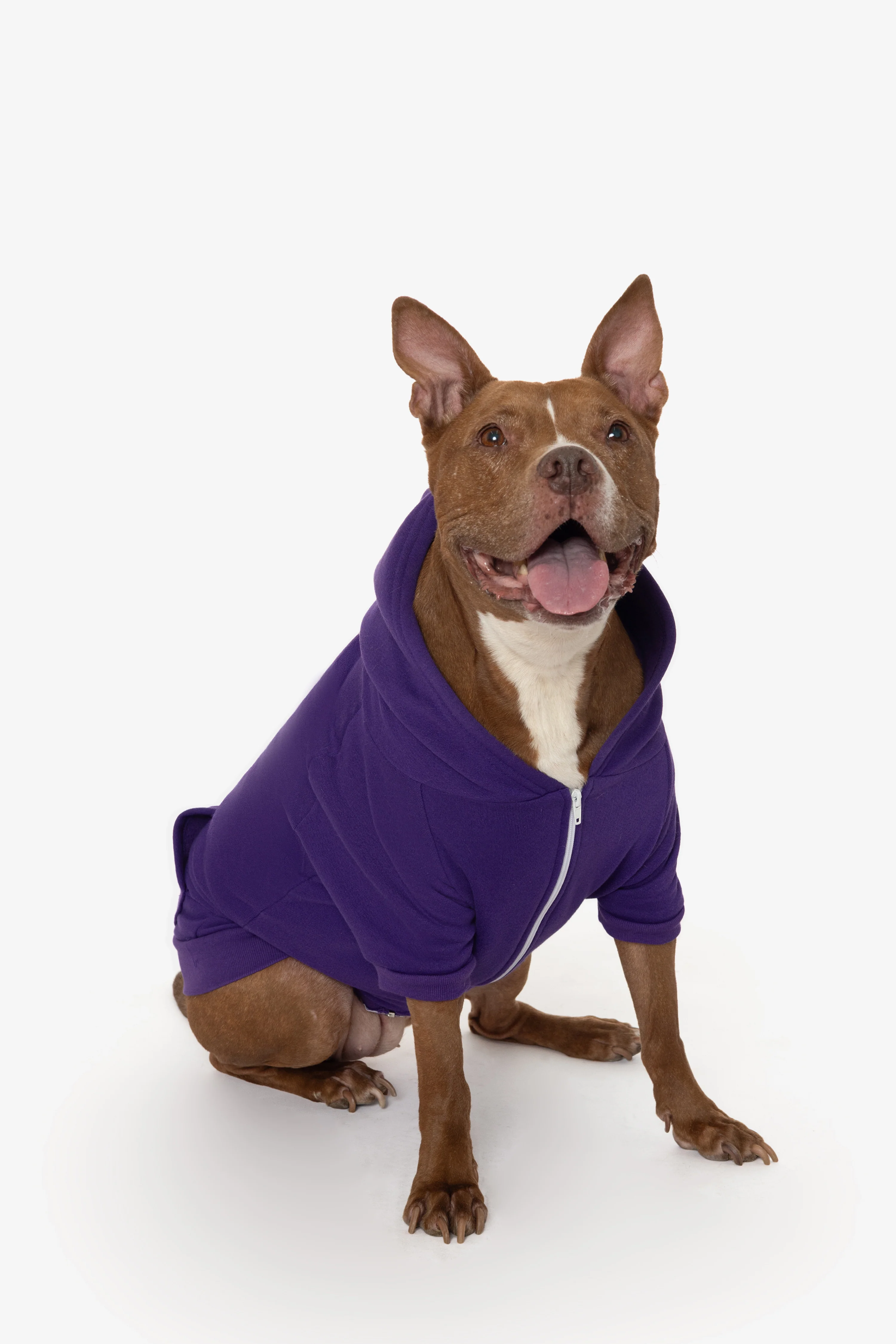 FF997 - Flex Fleece Dog Zip Hoodie - Image 31