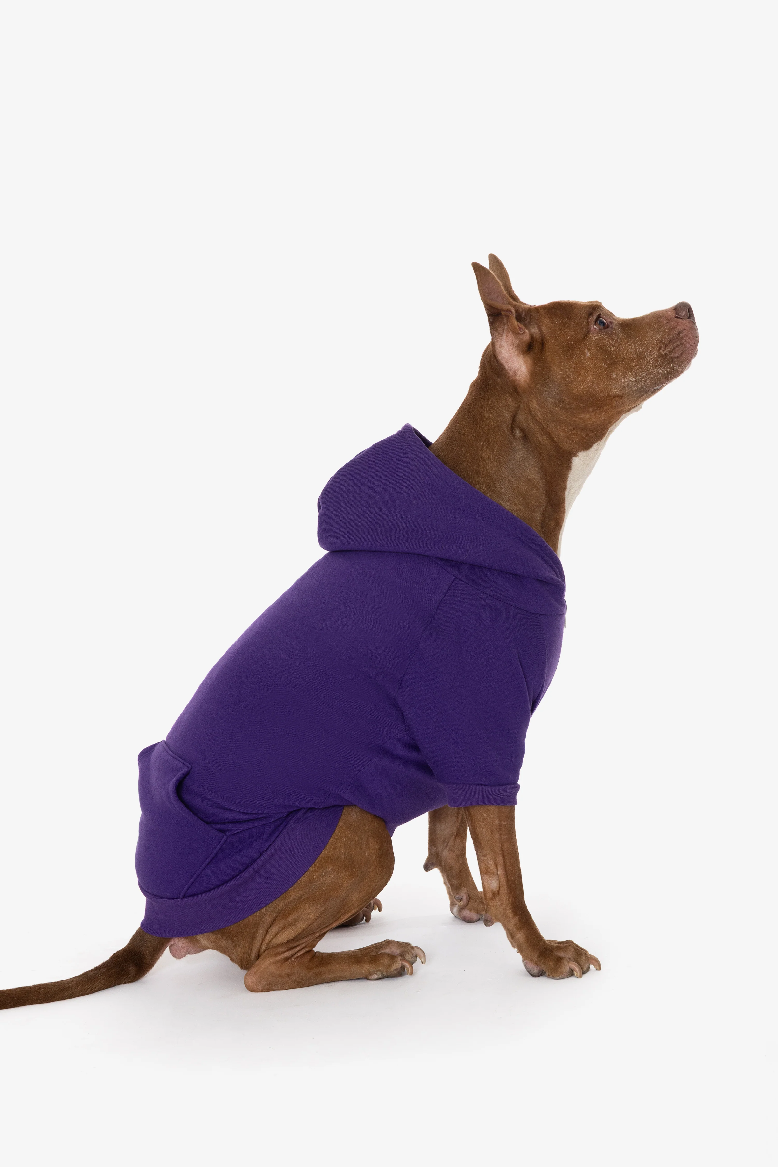 FF997 - Flex Fleece Dog Zip Hoodie - Image 32