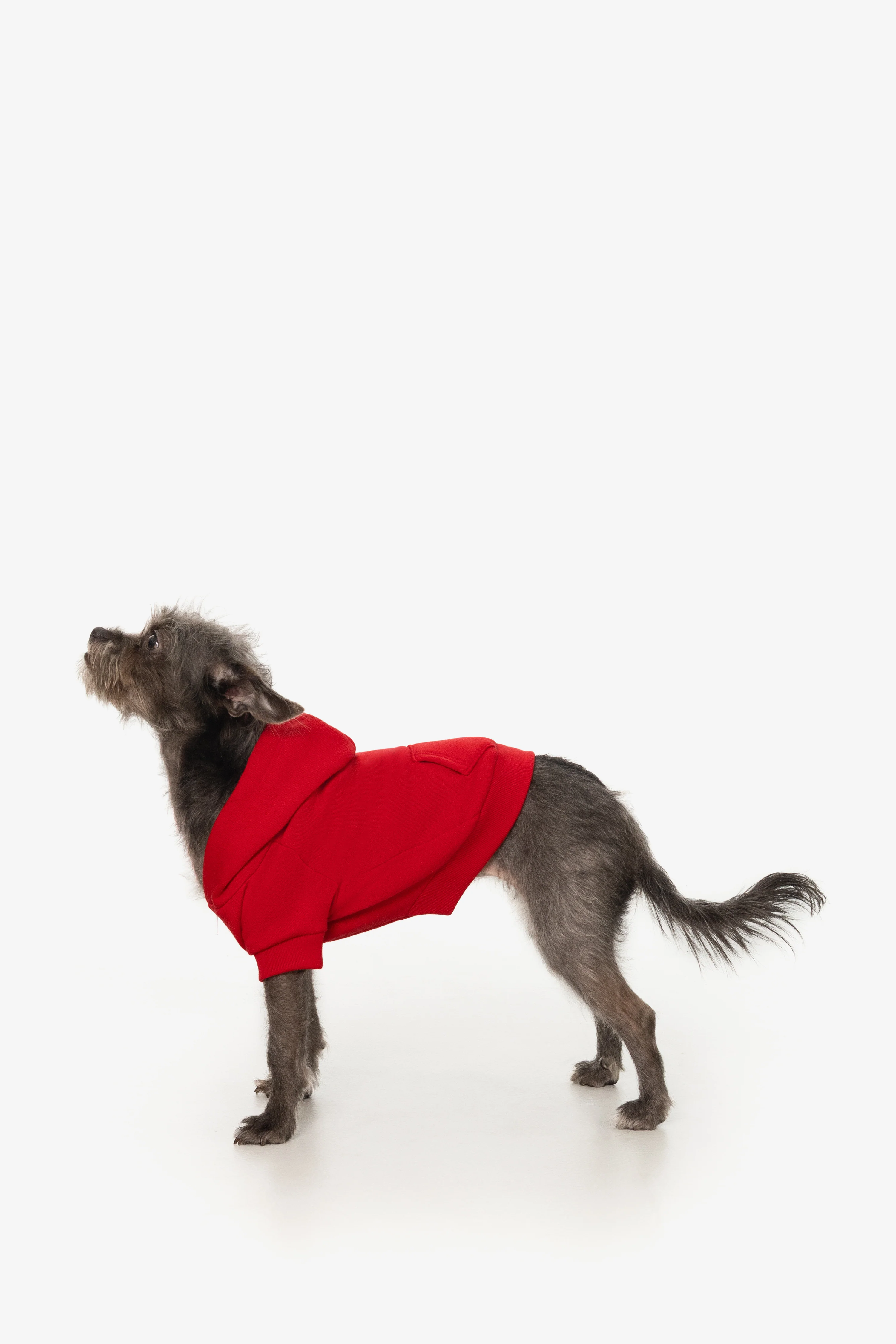 FF997 - Flex Fleece Dog Zip Hoodie - Image 36