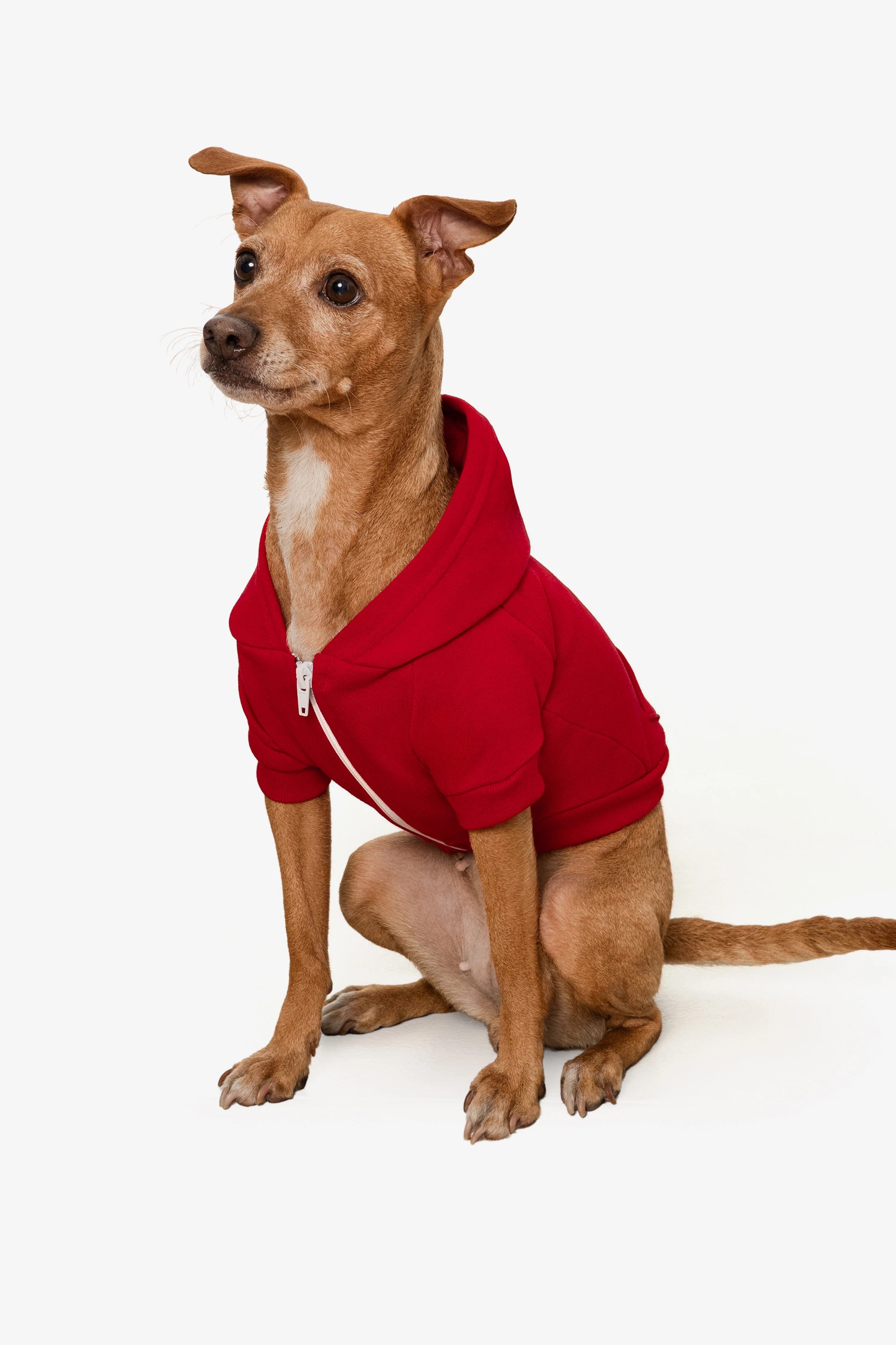 FF997 - Flex Fleece Dog Zip Hoodie - Image 37
