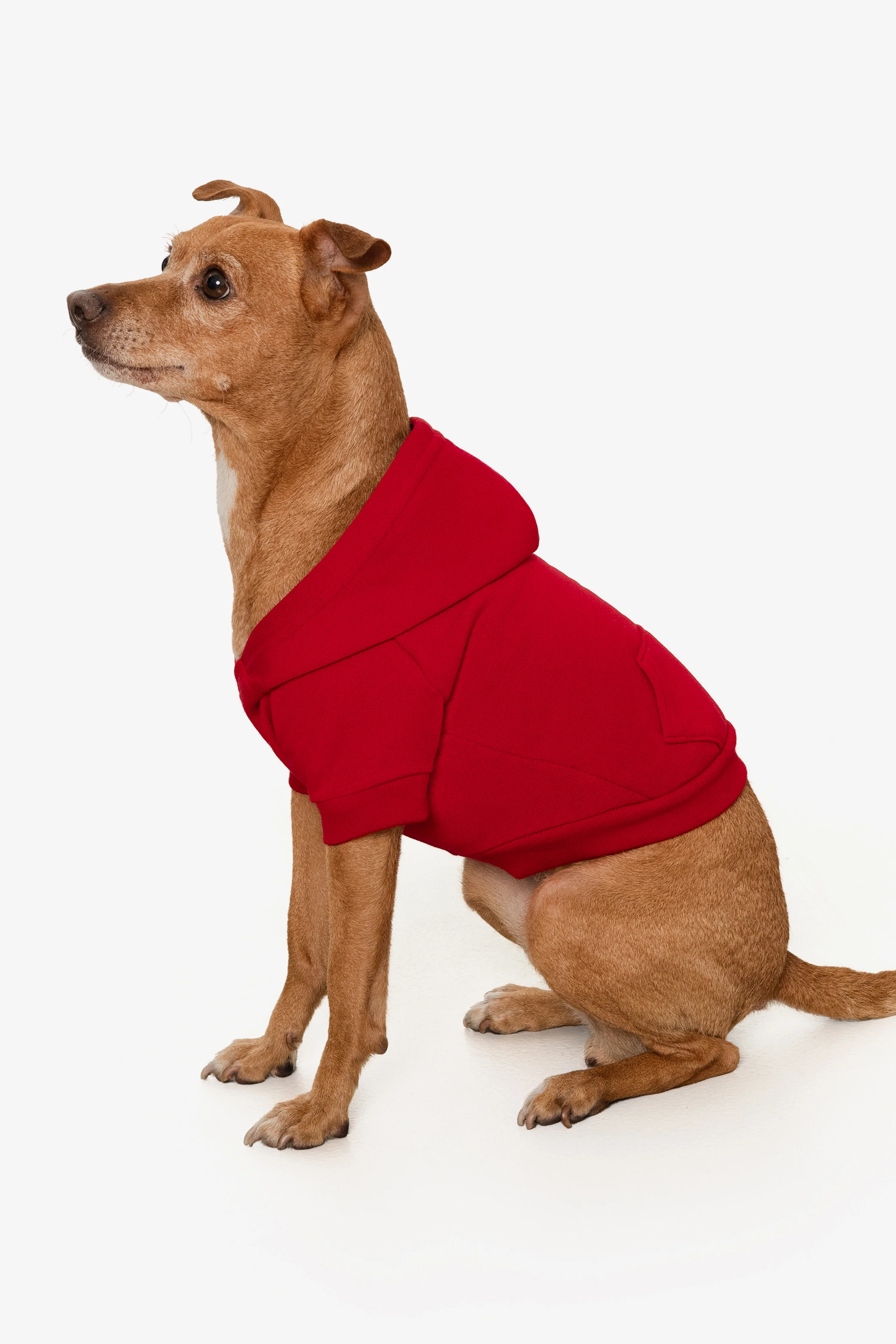 FF997 - Flex Fleece Dog Zip Hoodie - Image 38