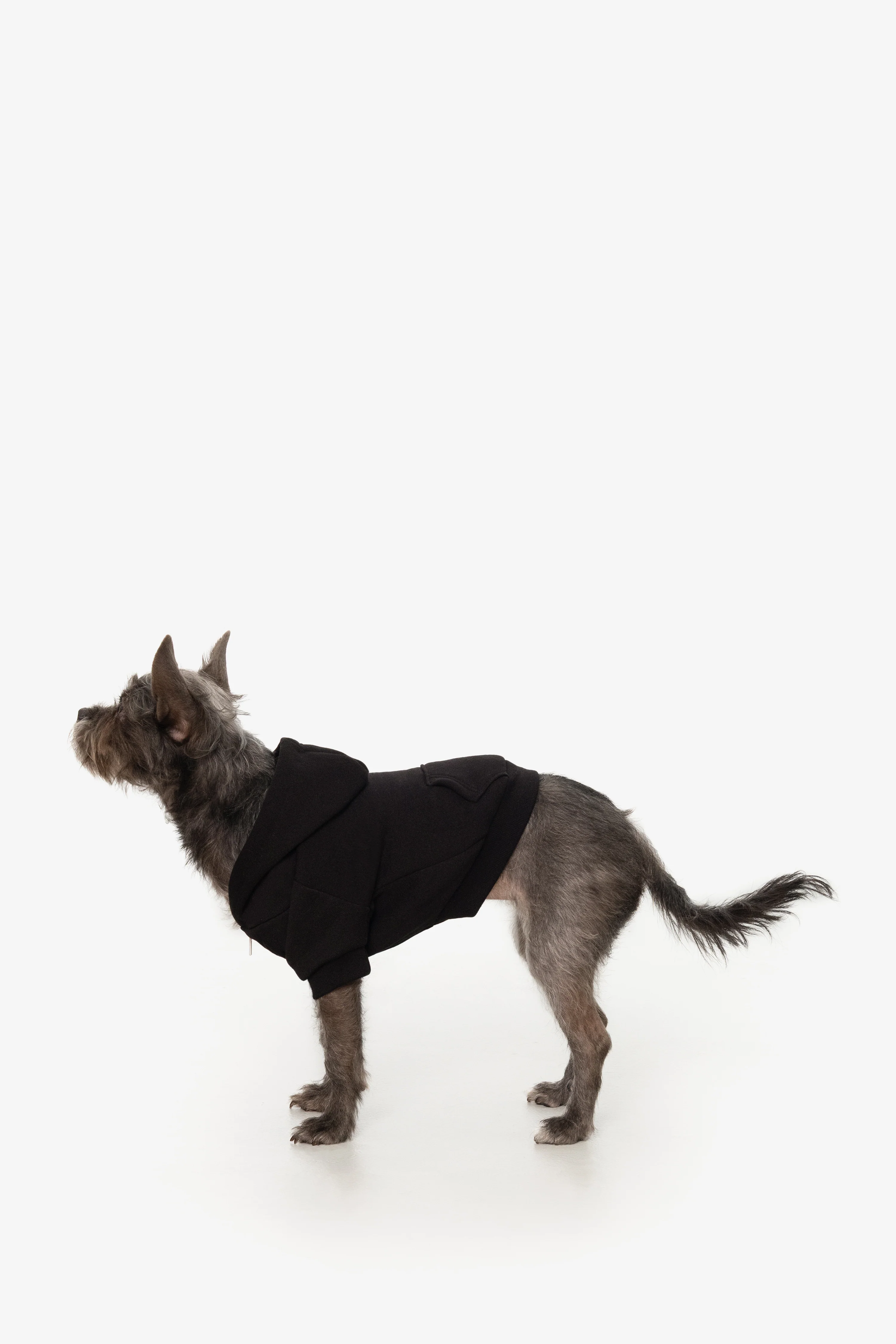 FF997 - Flex Fleece Dog Zip Hoodie - Image 4