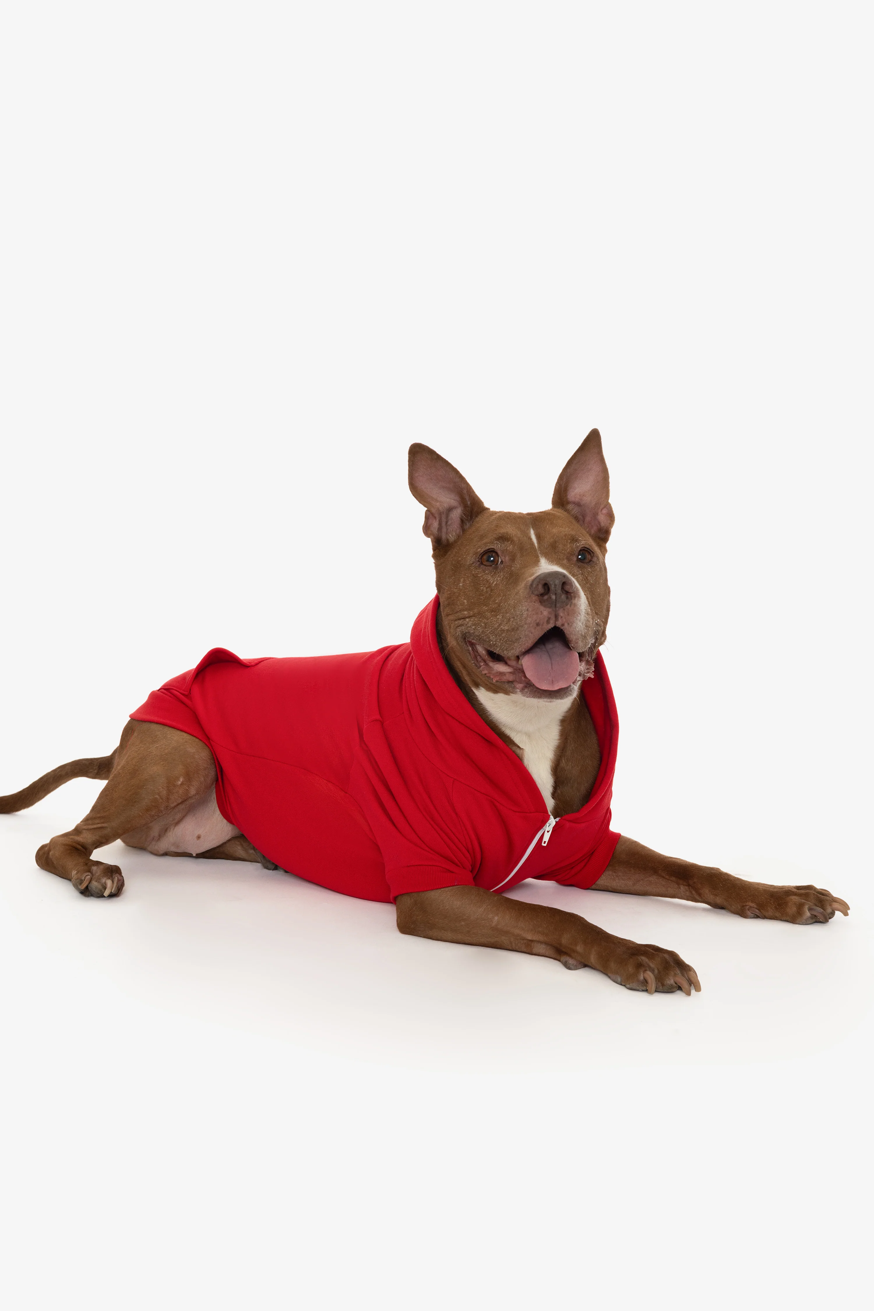 FF997 - Flex Fleece Dog Zip Hoodie - Image 40